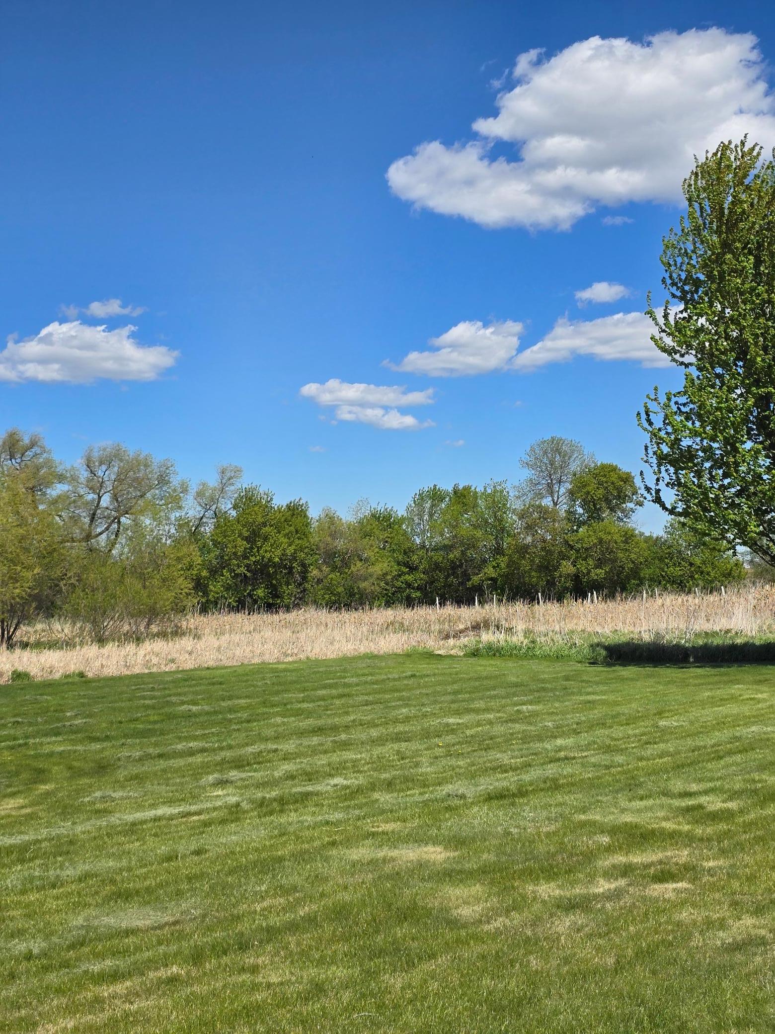 main property photo 53
