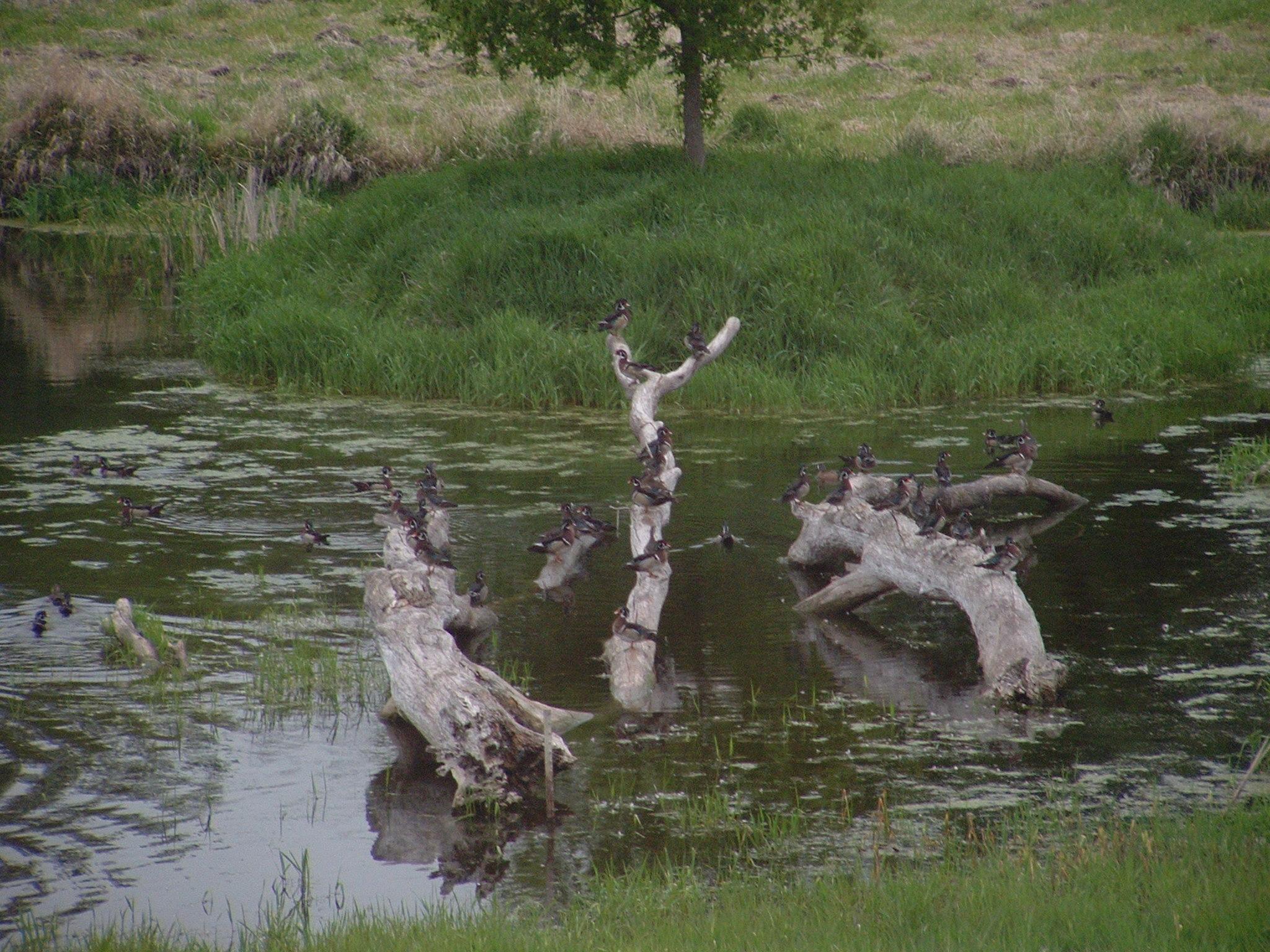 main property photo 65