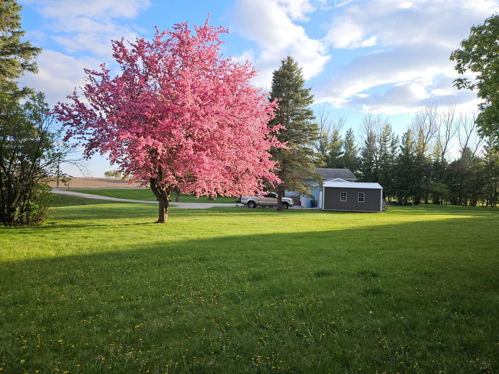 main property photo 31