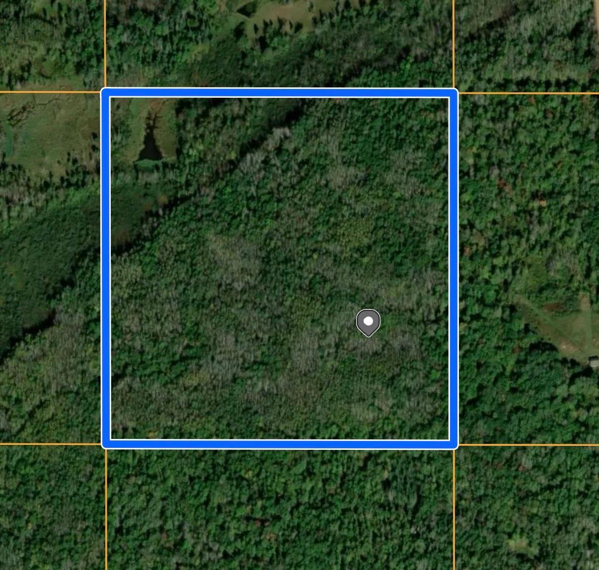 main property photo 4