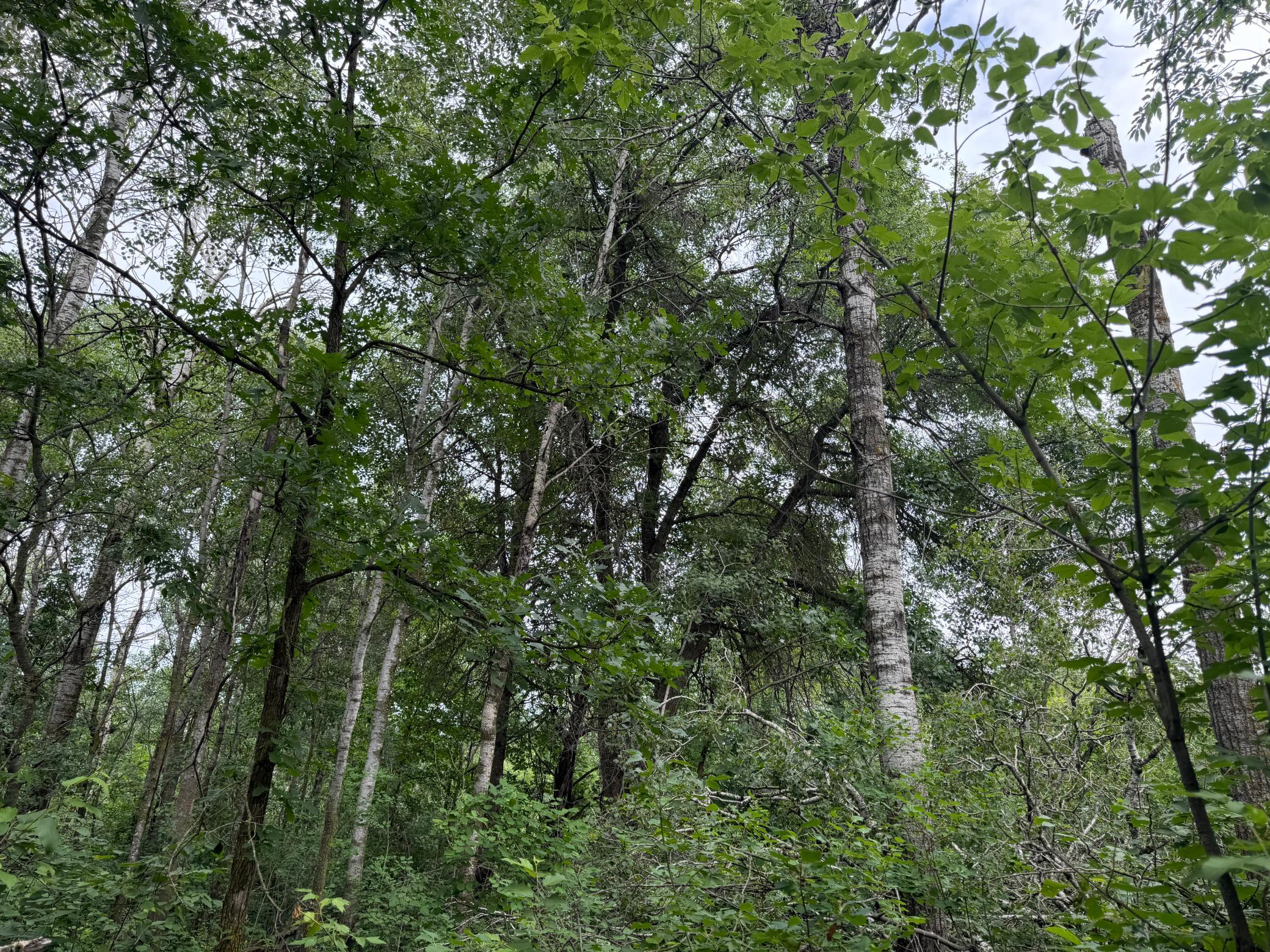 main property photo 41