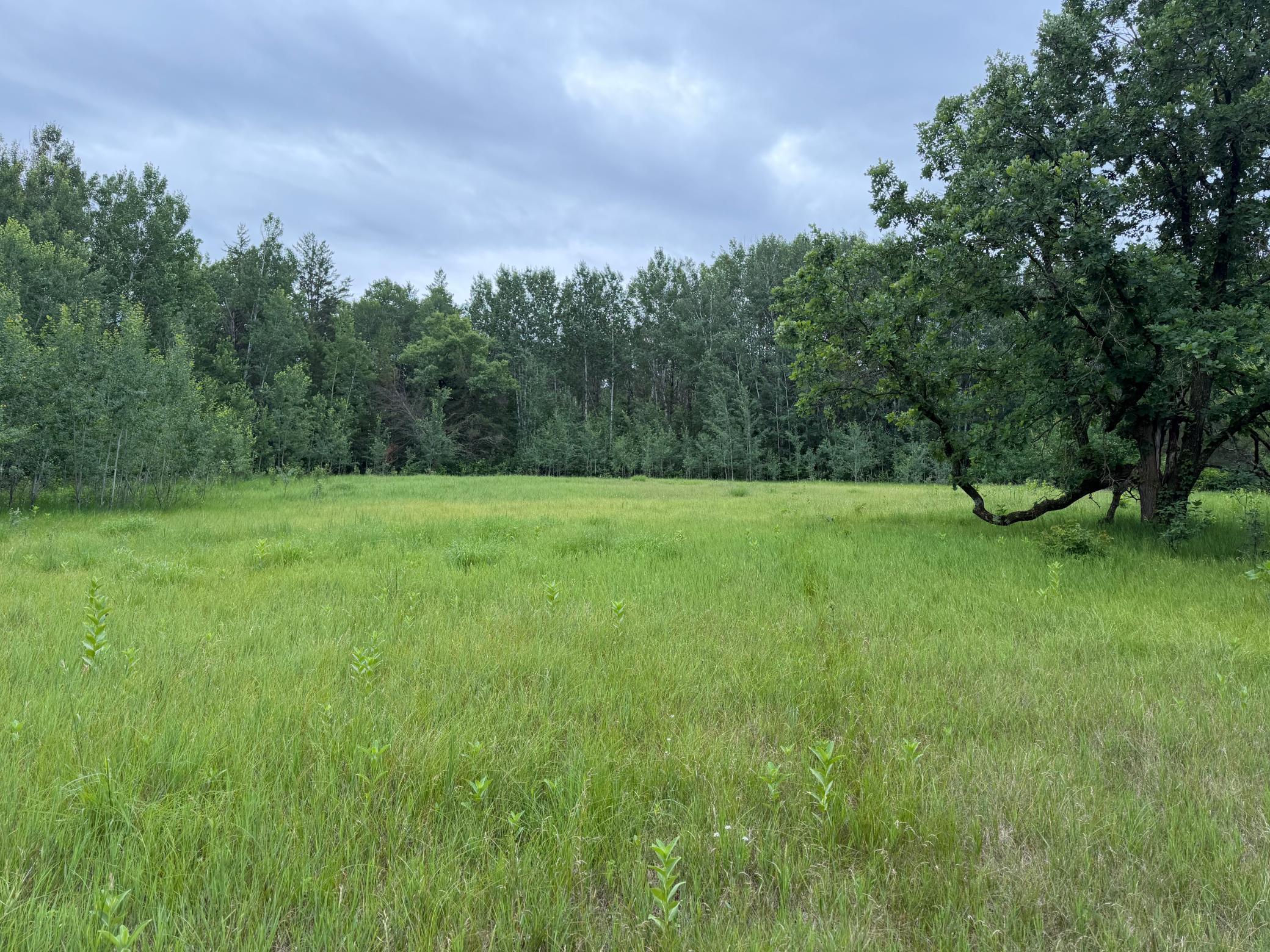 main property photo 65
