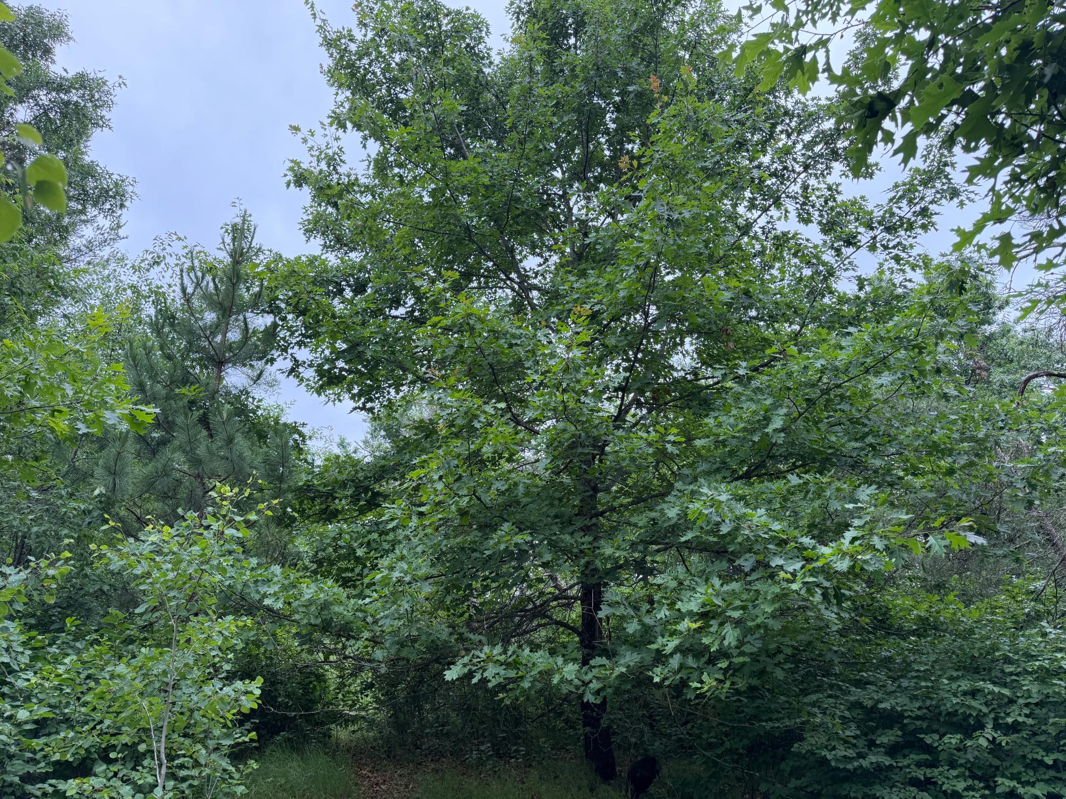 main property photo 66