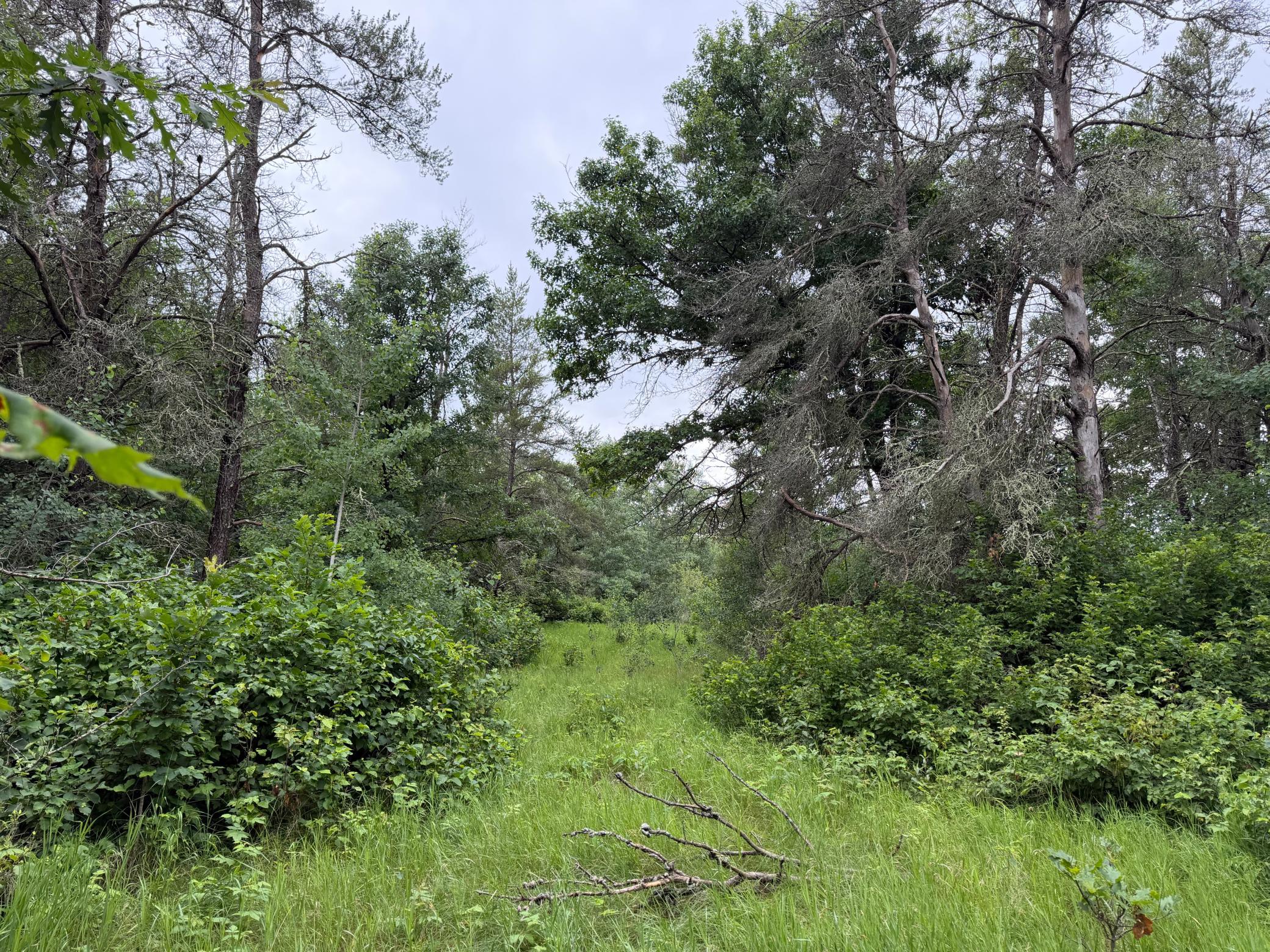 main property photo 67