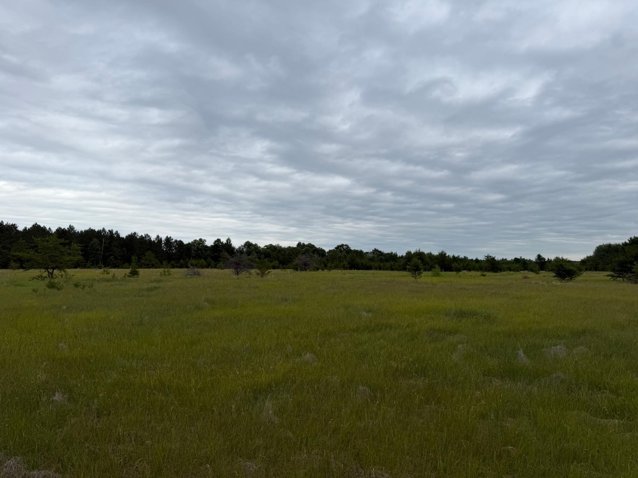 main property photo 71