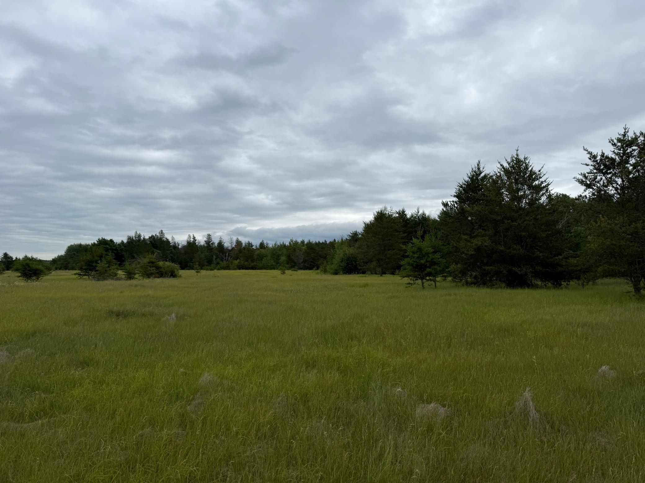 main property photo 72
