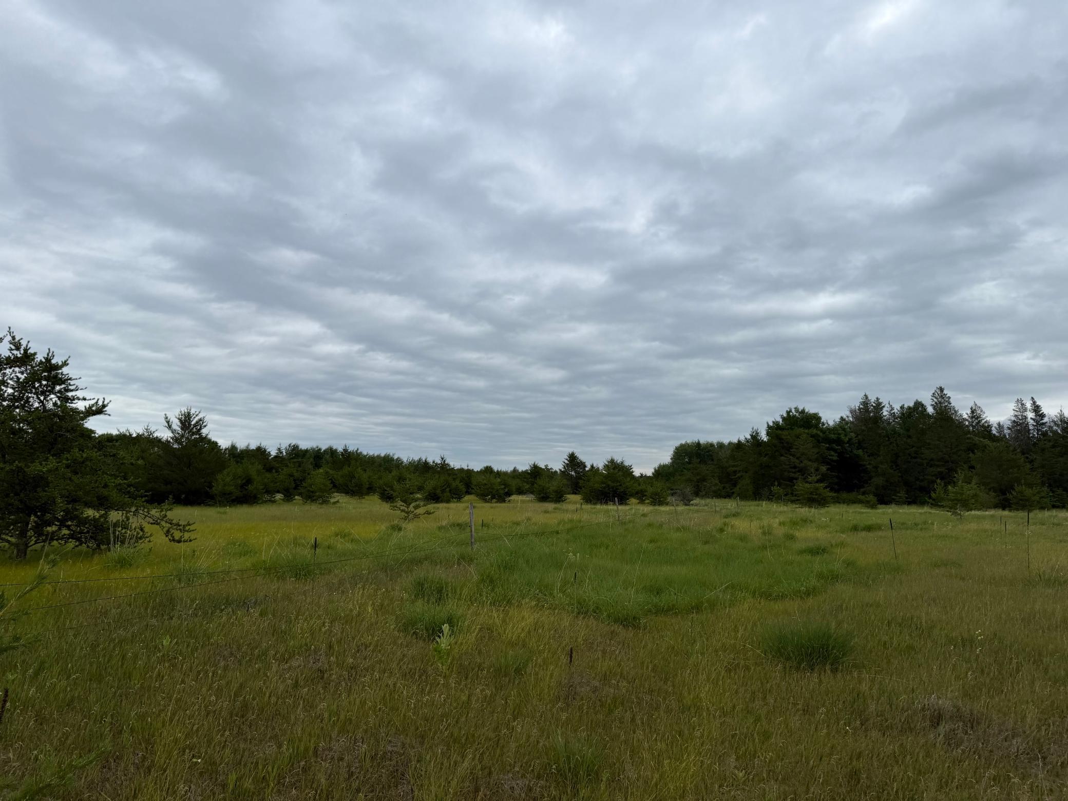 main property photo 73