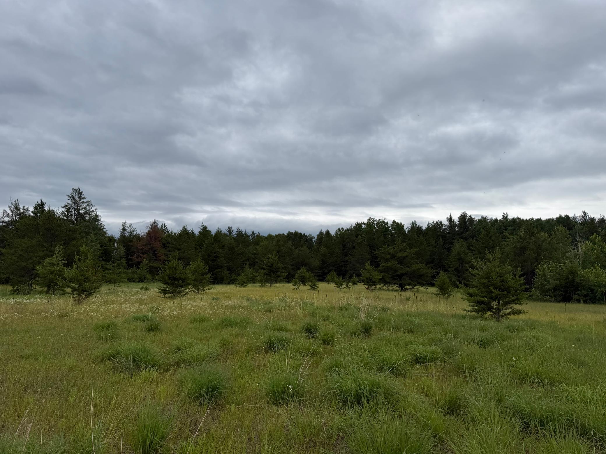 main property photo 75