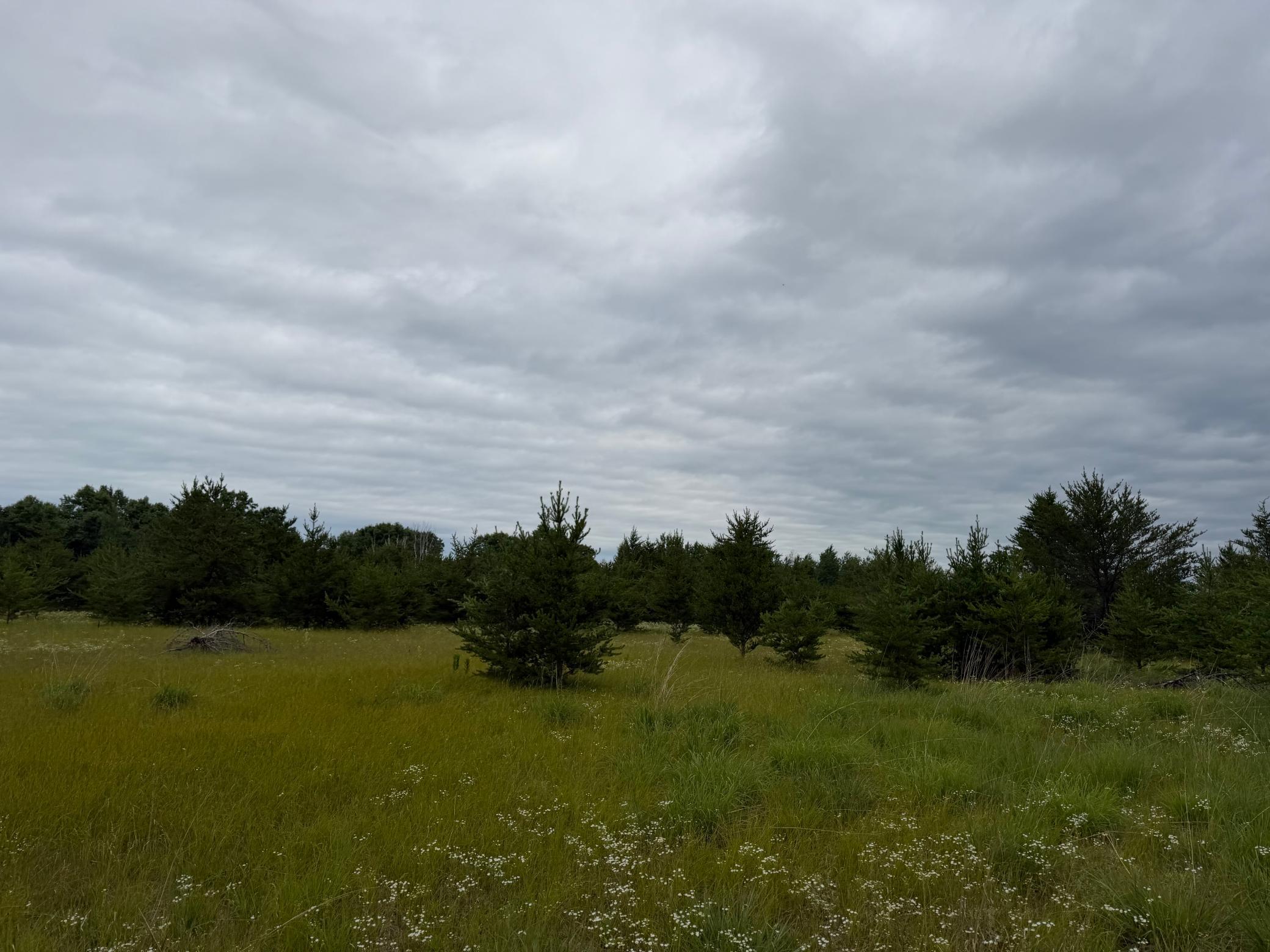 main property photo 76