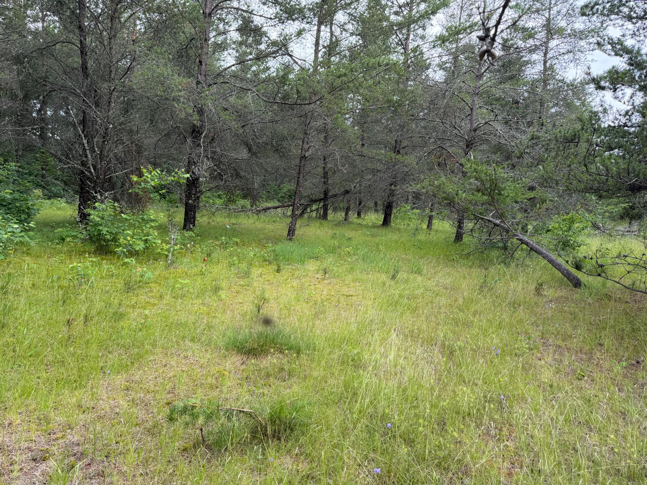main property photo 83