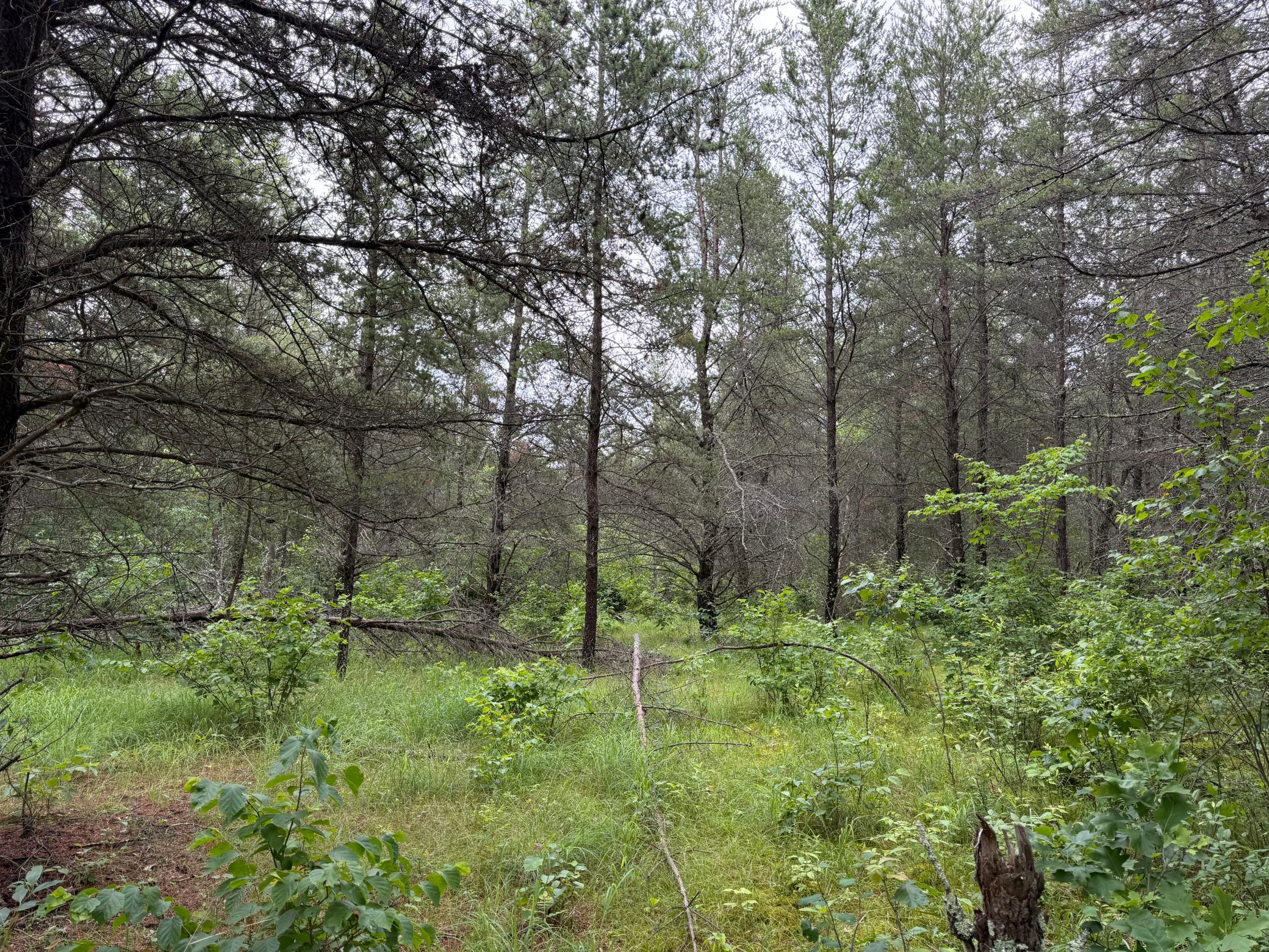 main property photo 84