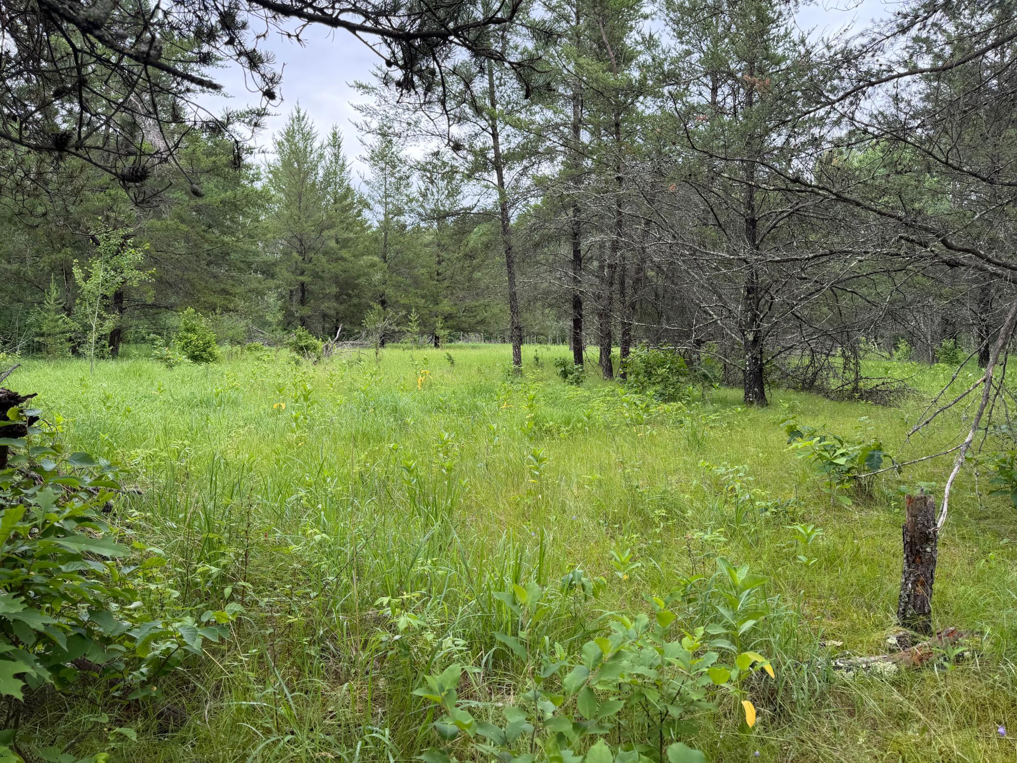 main property photo 87