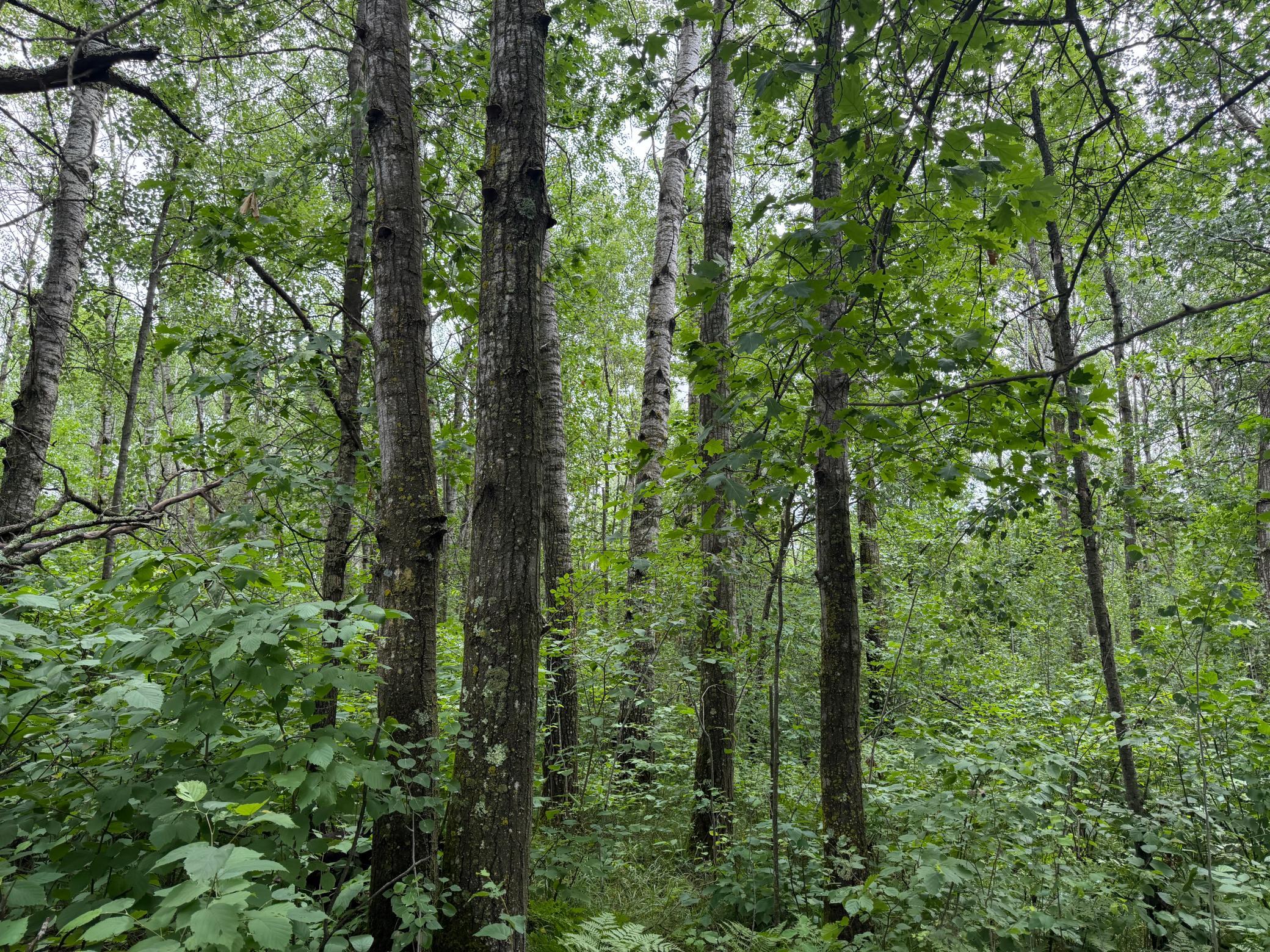 main property photo 35