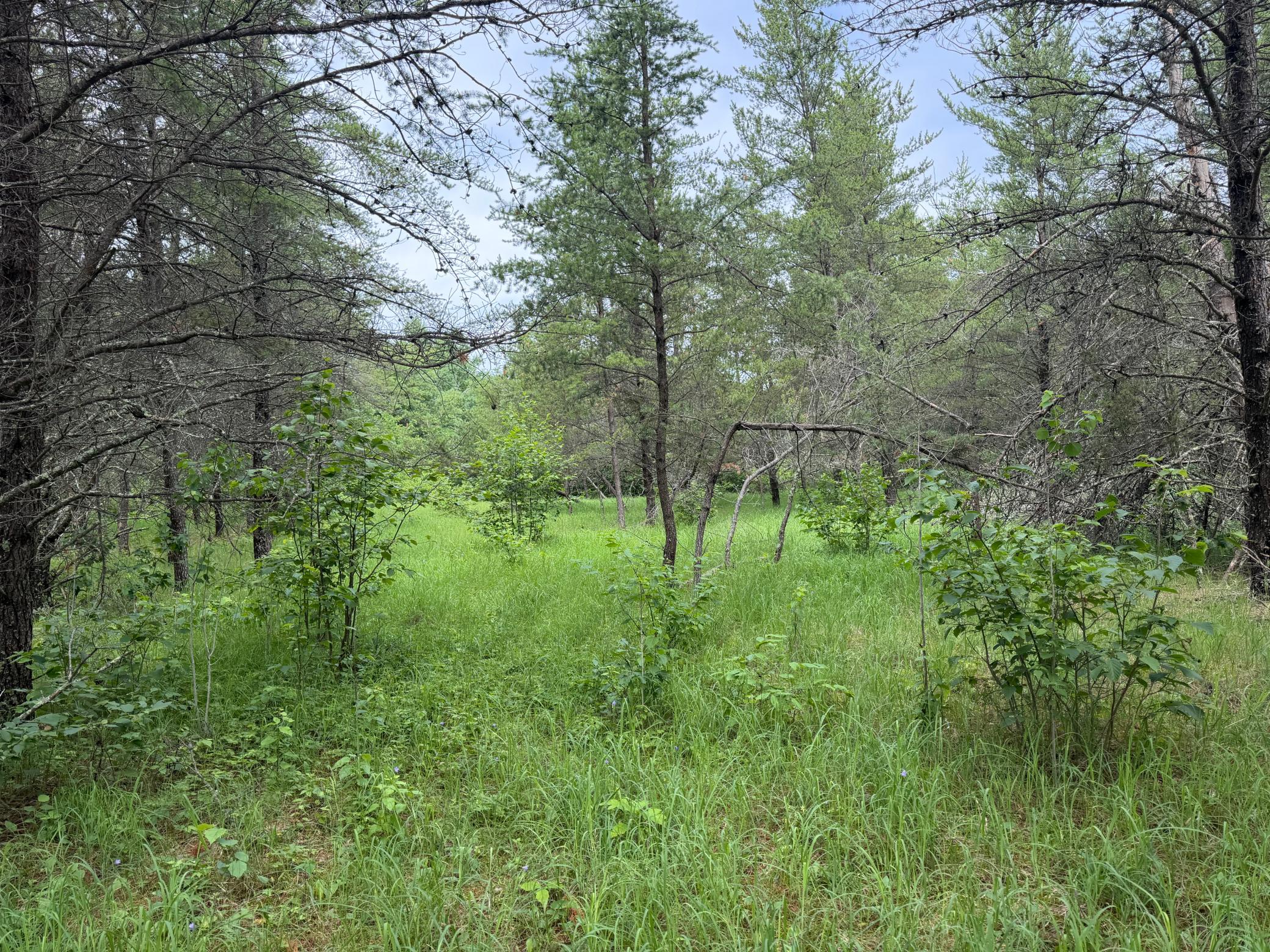 main property photo 37