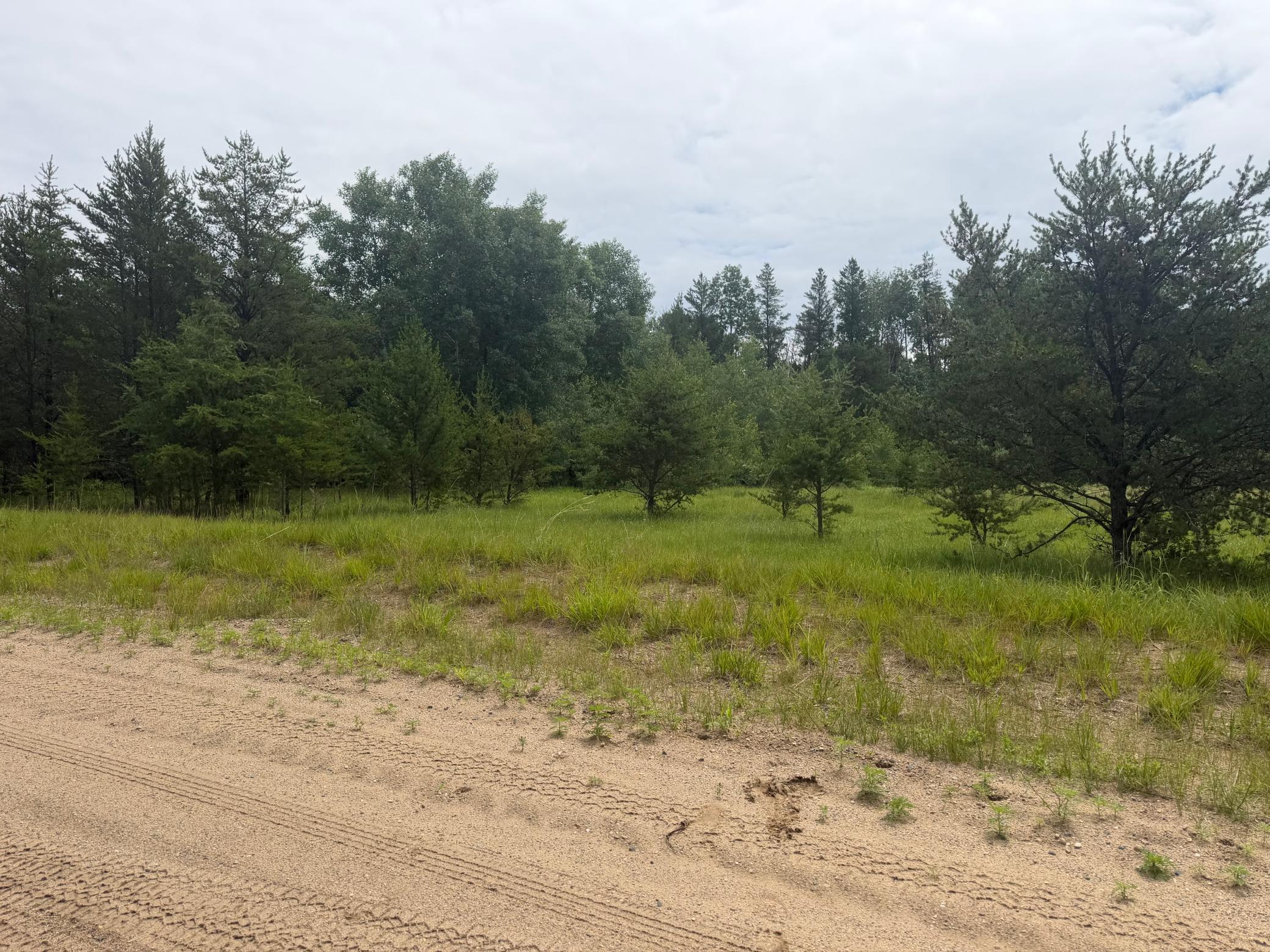 main property photo 44