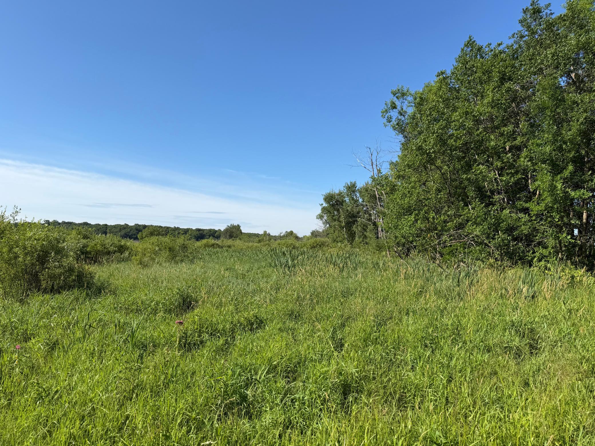 main property photo 50