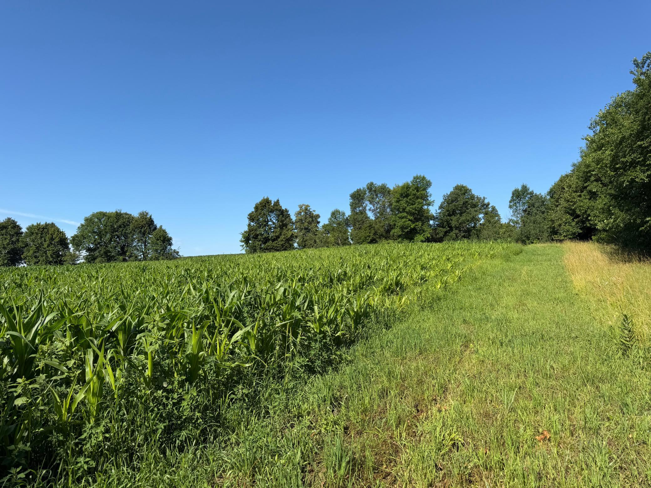 main property photo 56