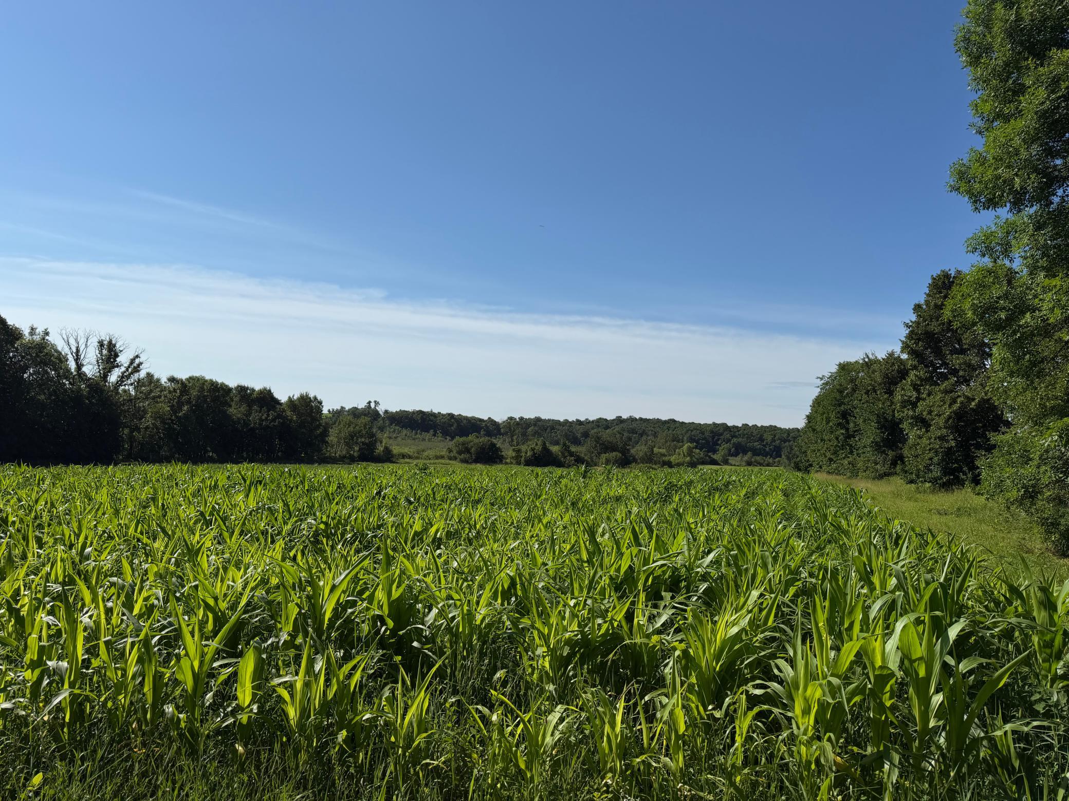 main property photo 57