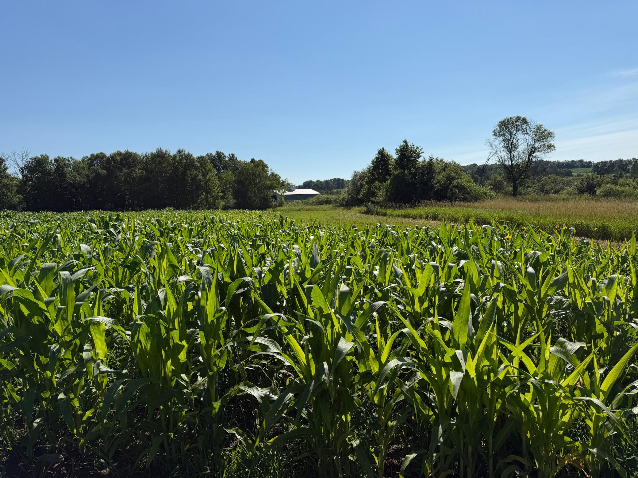main property photo 63