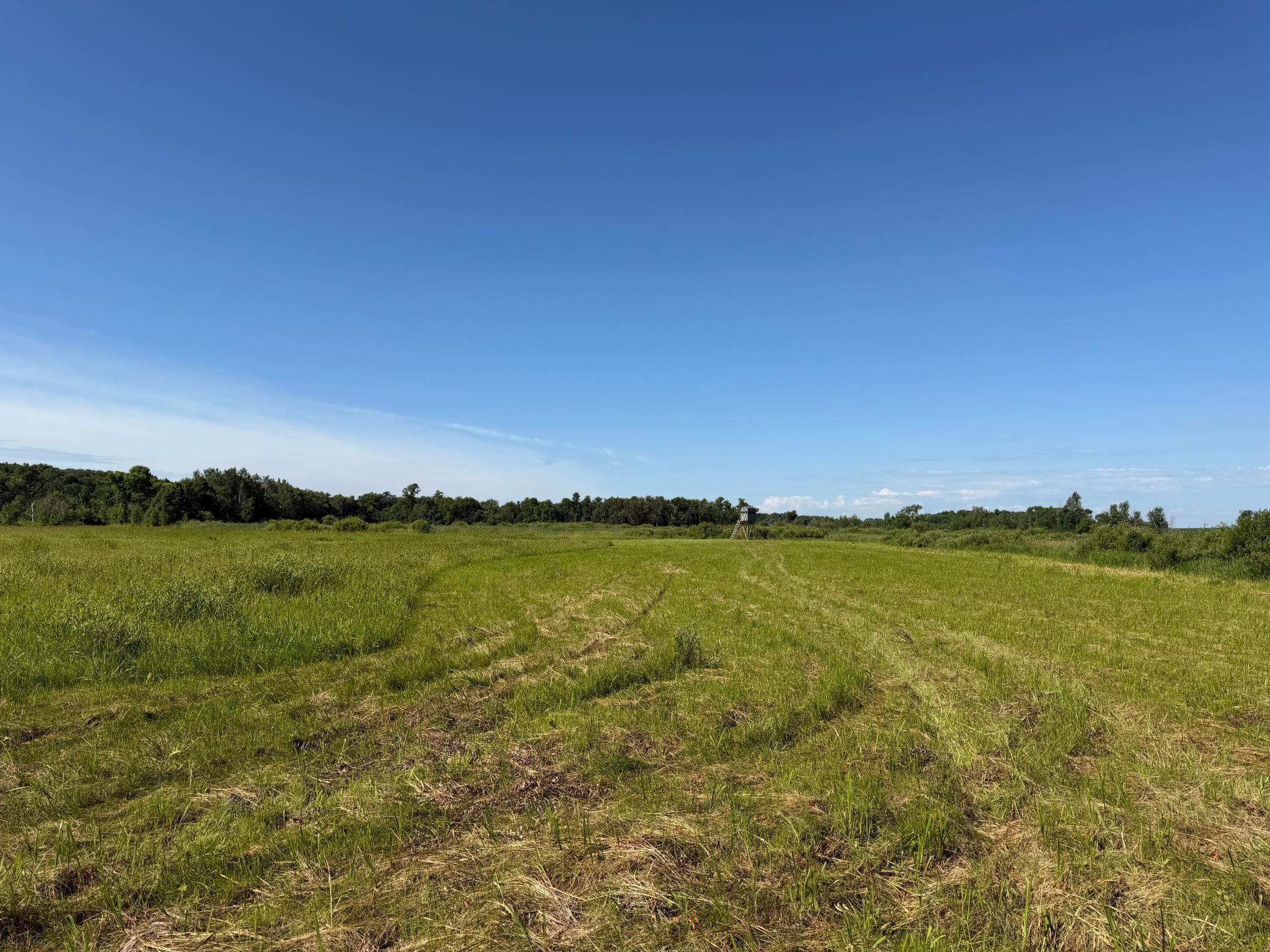 main property photo 72