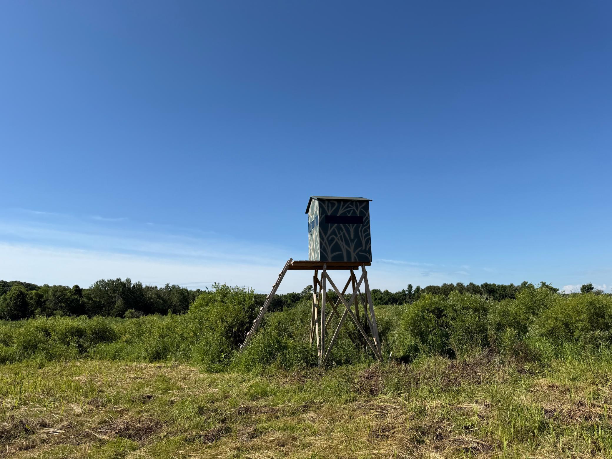 main property photo 74