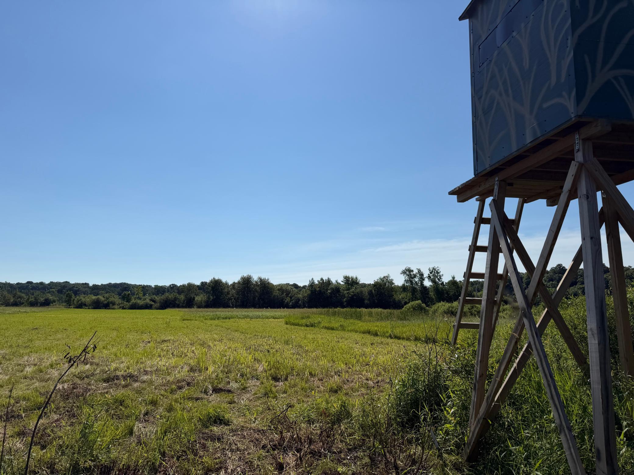 main property photo 75