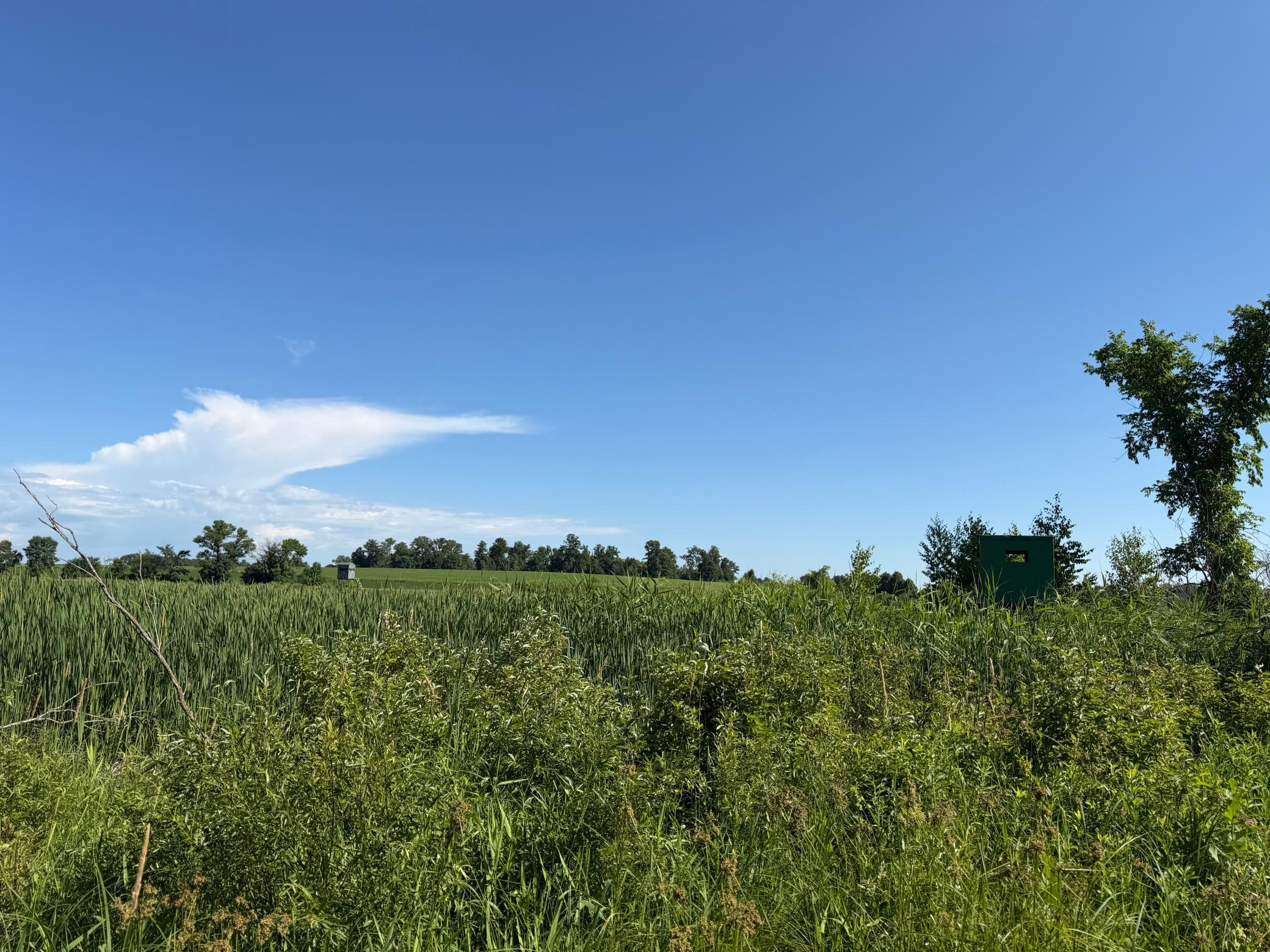 main property photo 80