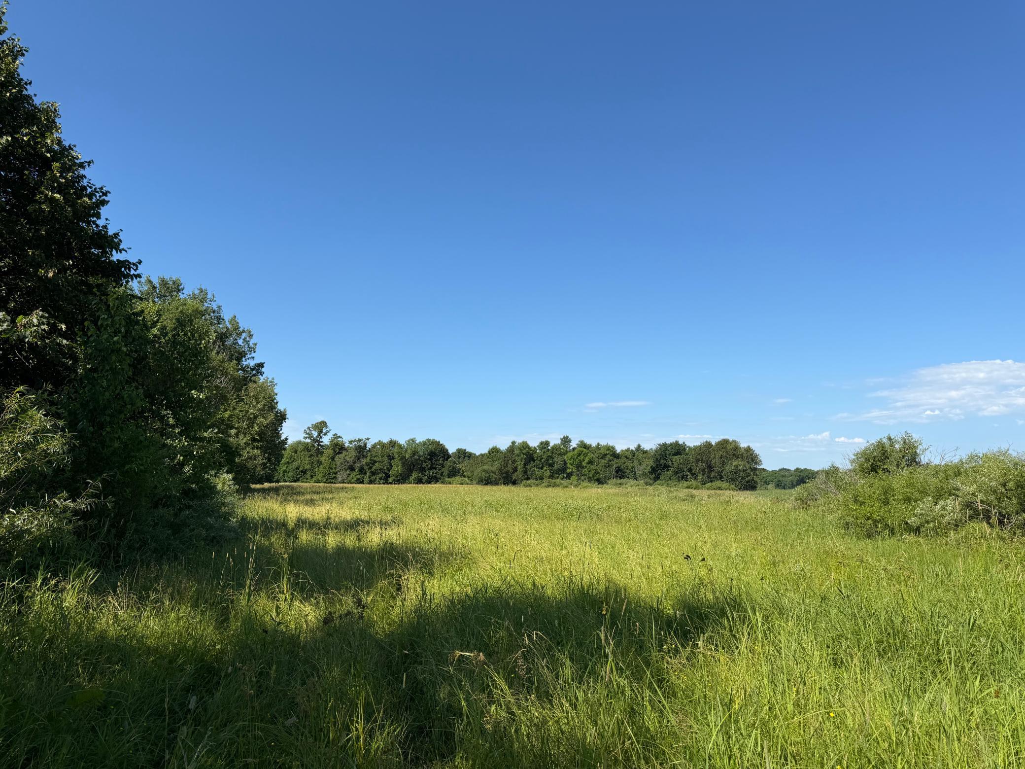 main property photo 81