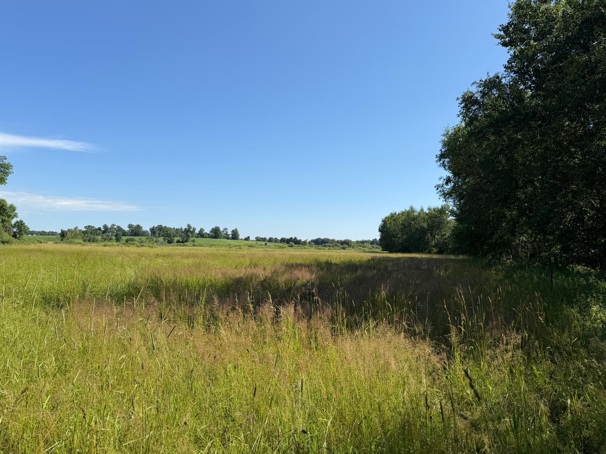 main property photo 85