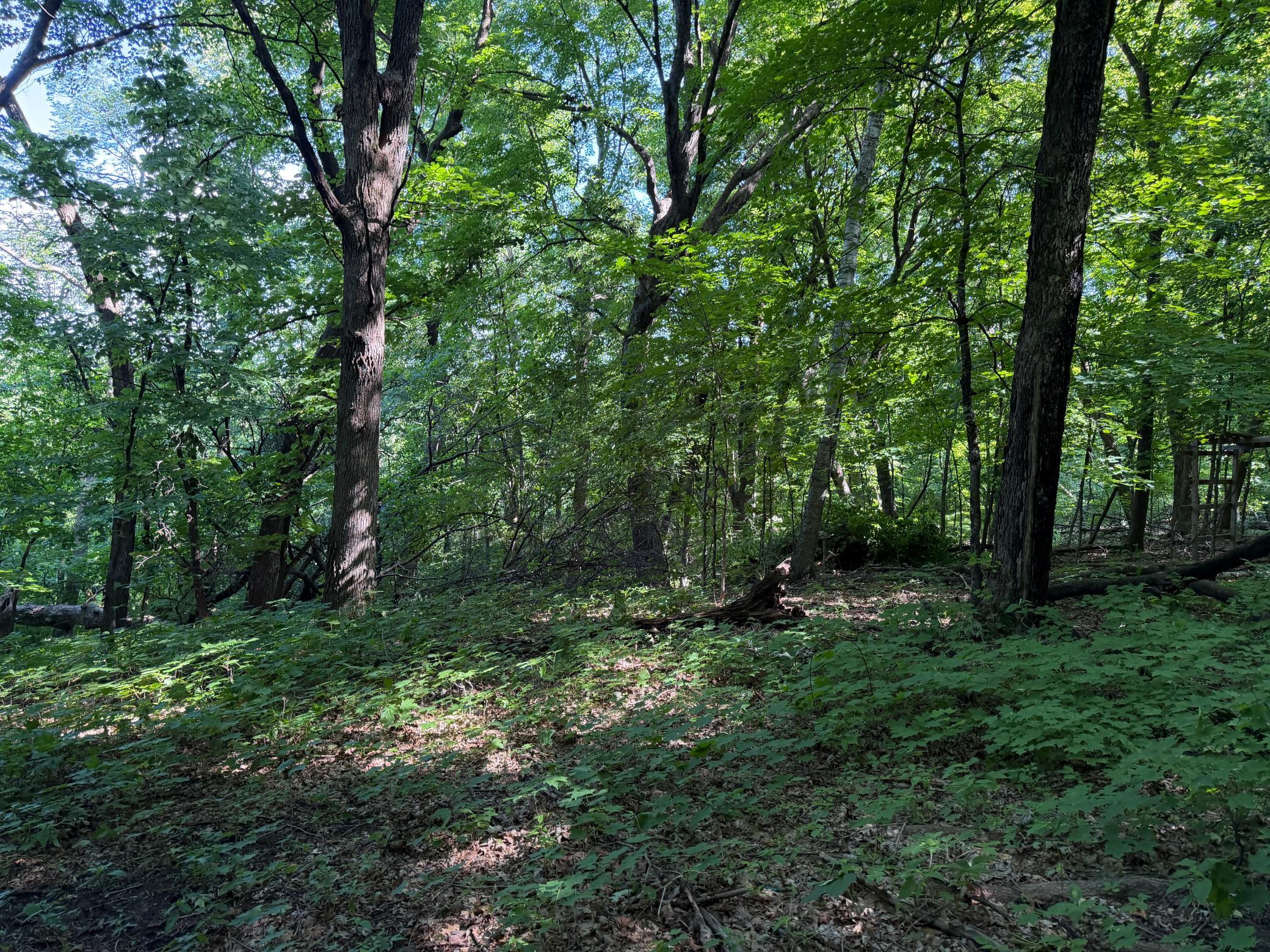main property photo 96