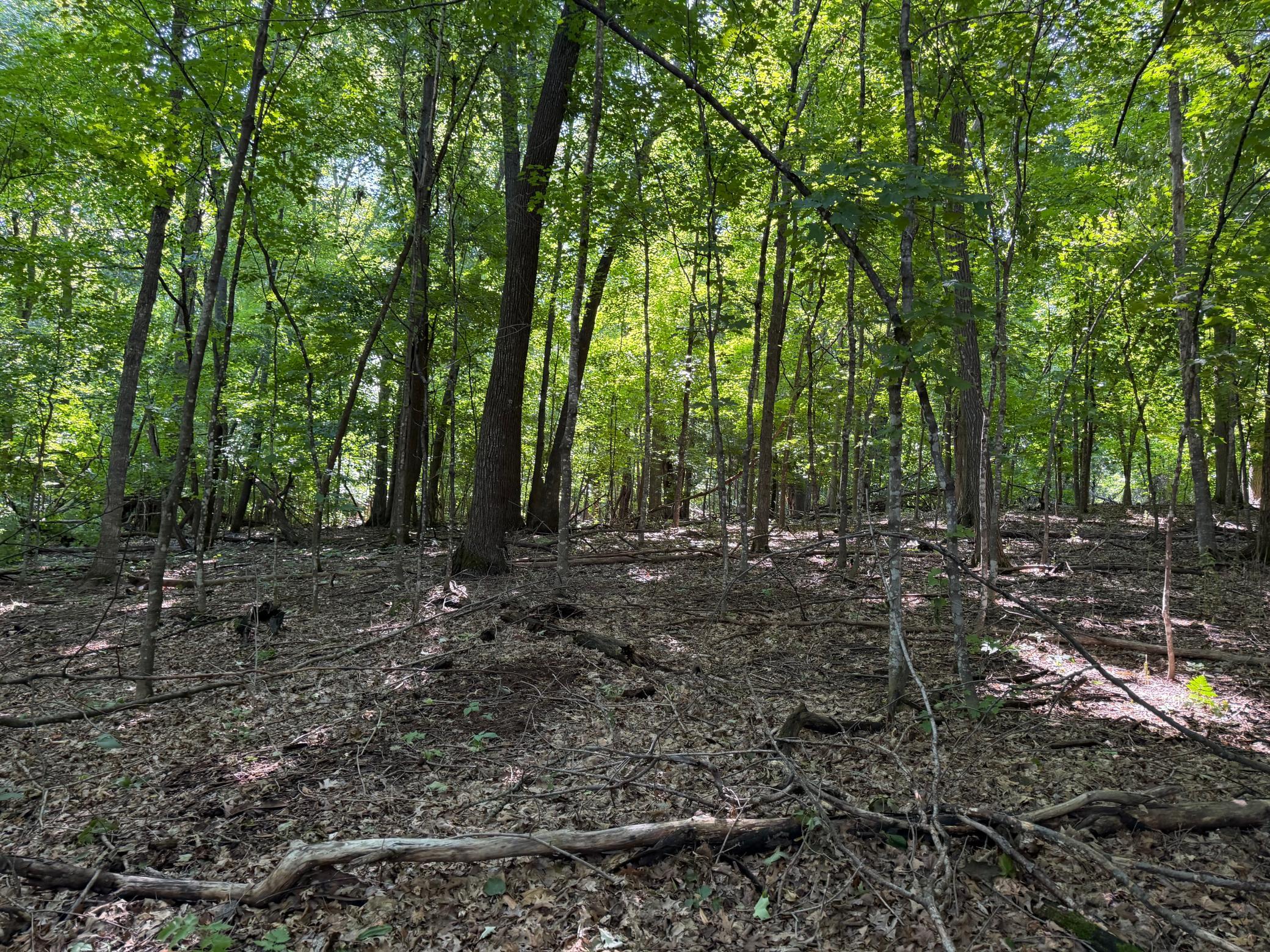 main property photo 97