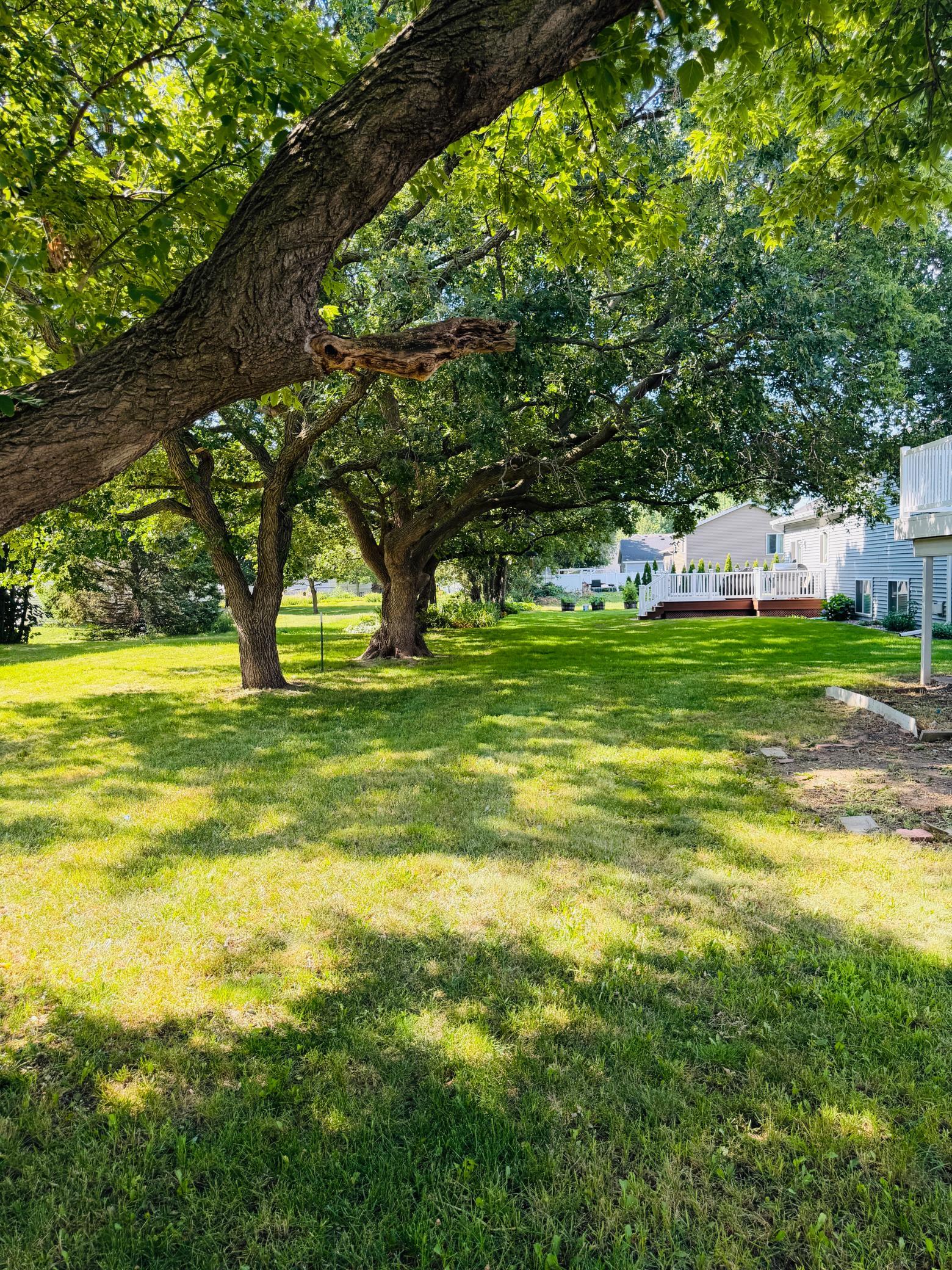 main property photo 28