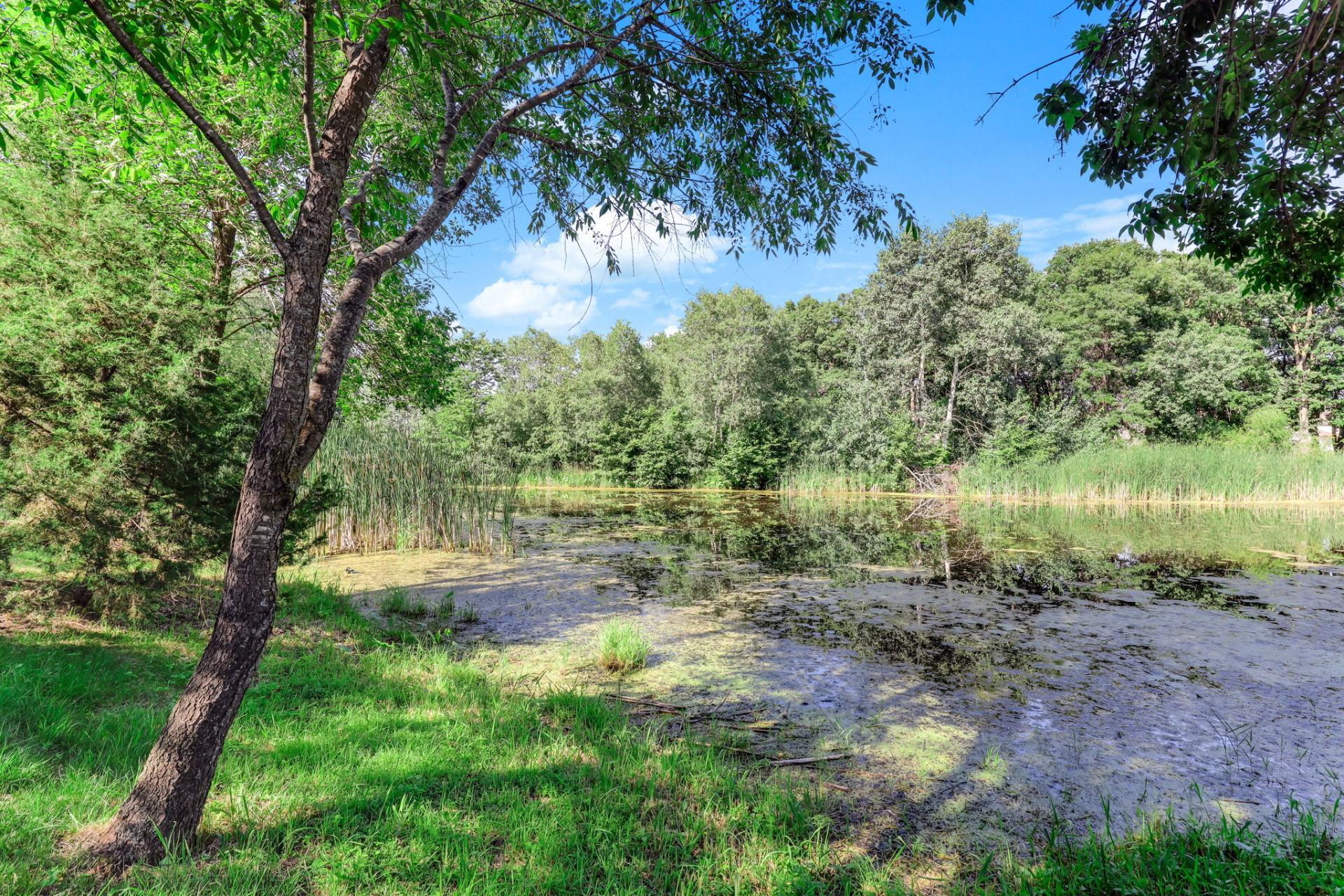 main property photo 40