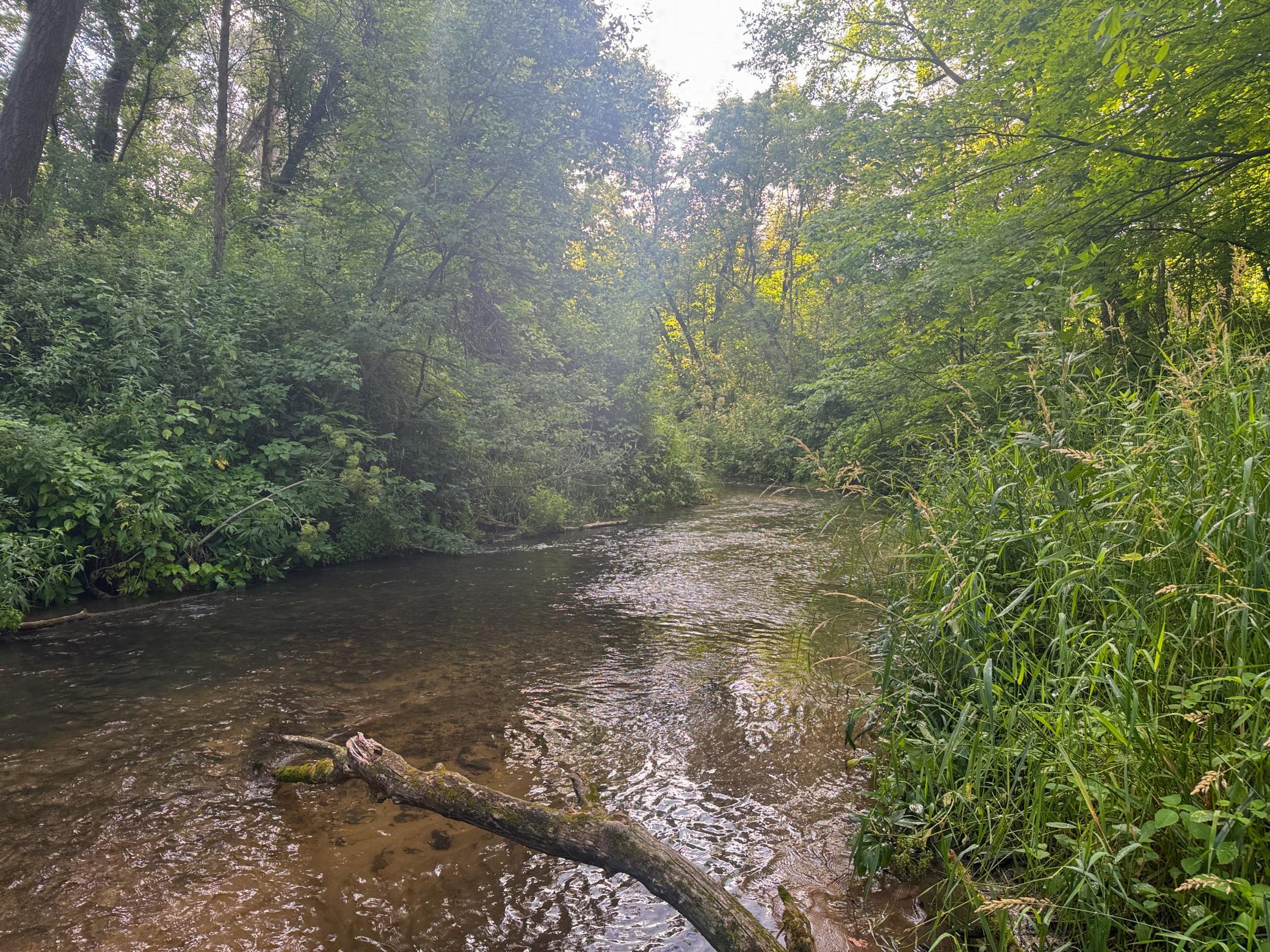 main property photo 14