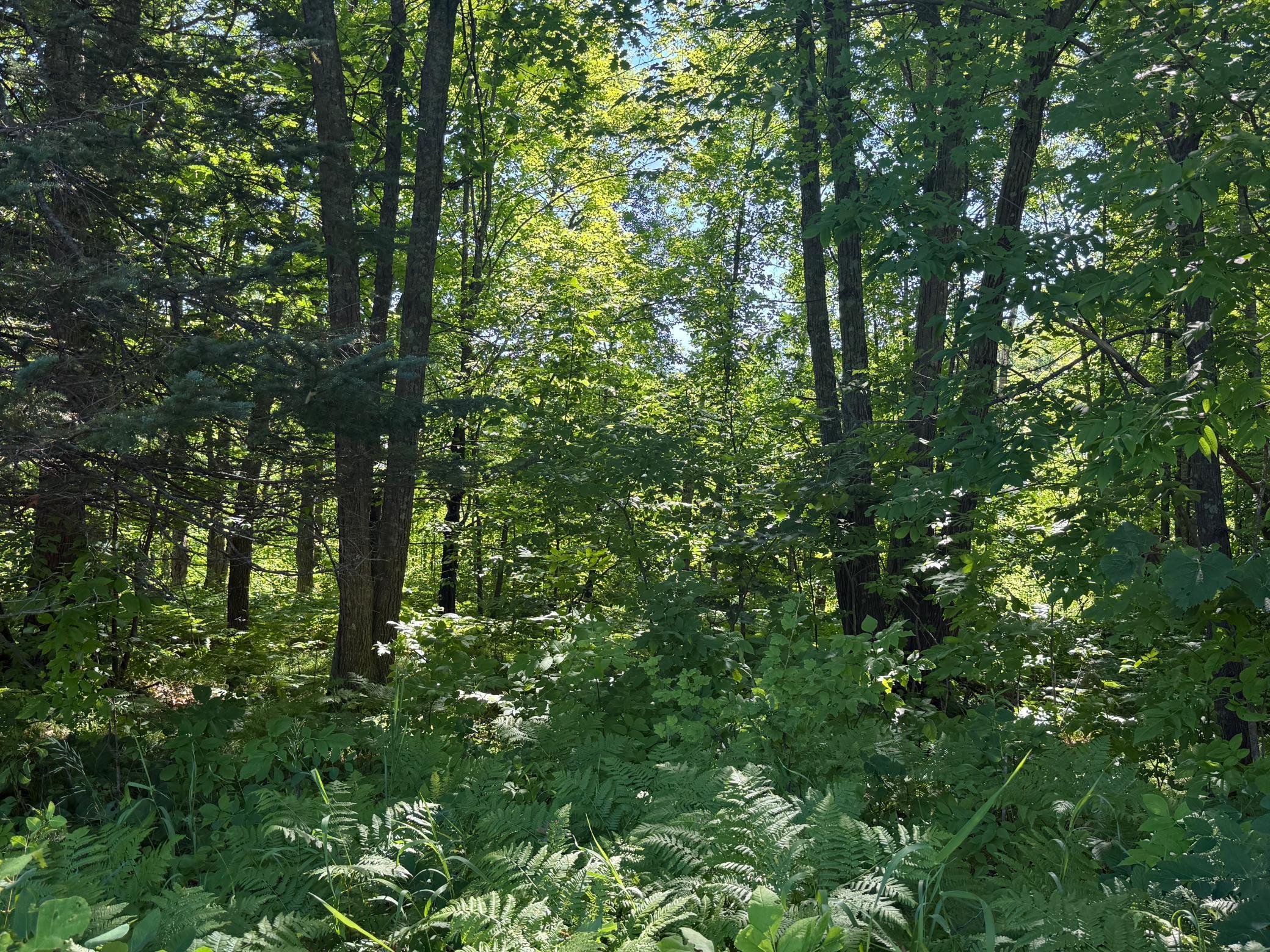 main property photo 24
