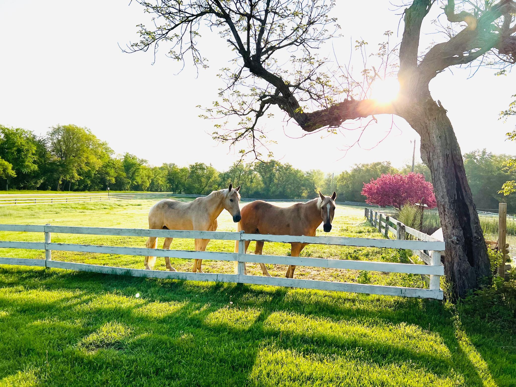 main property photo 65