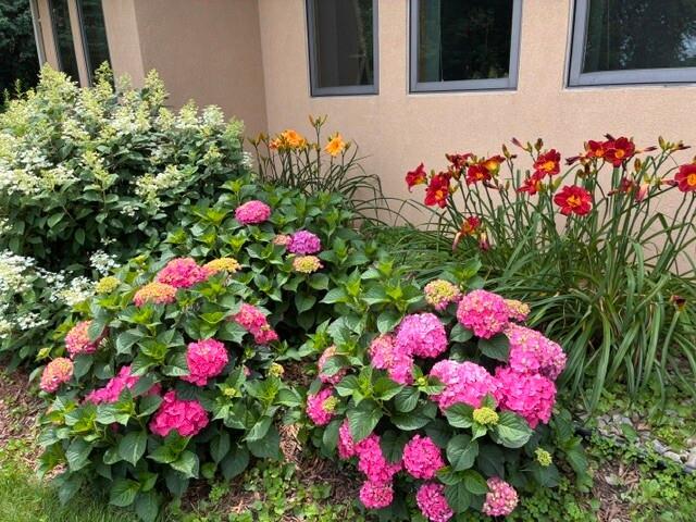 main property photo 109