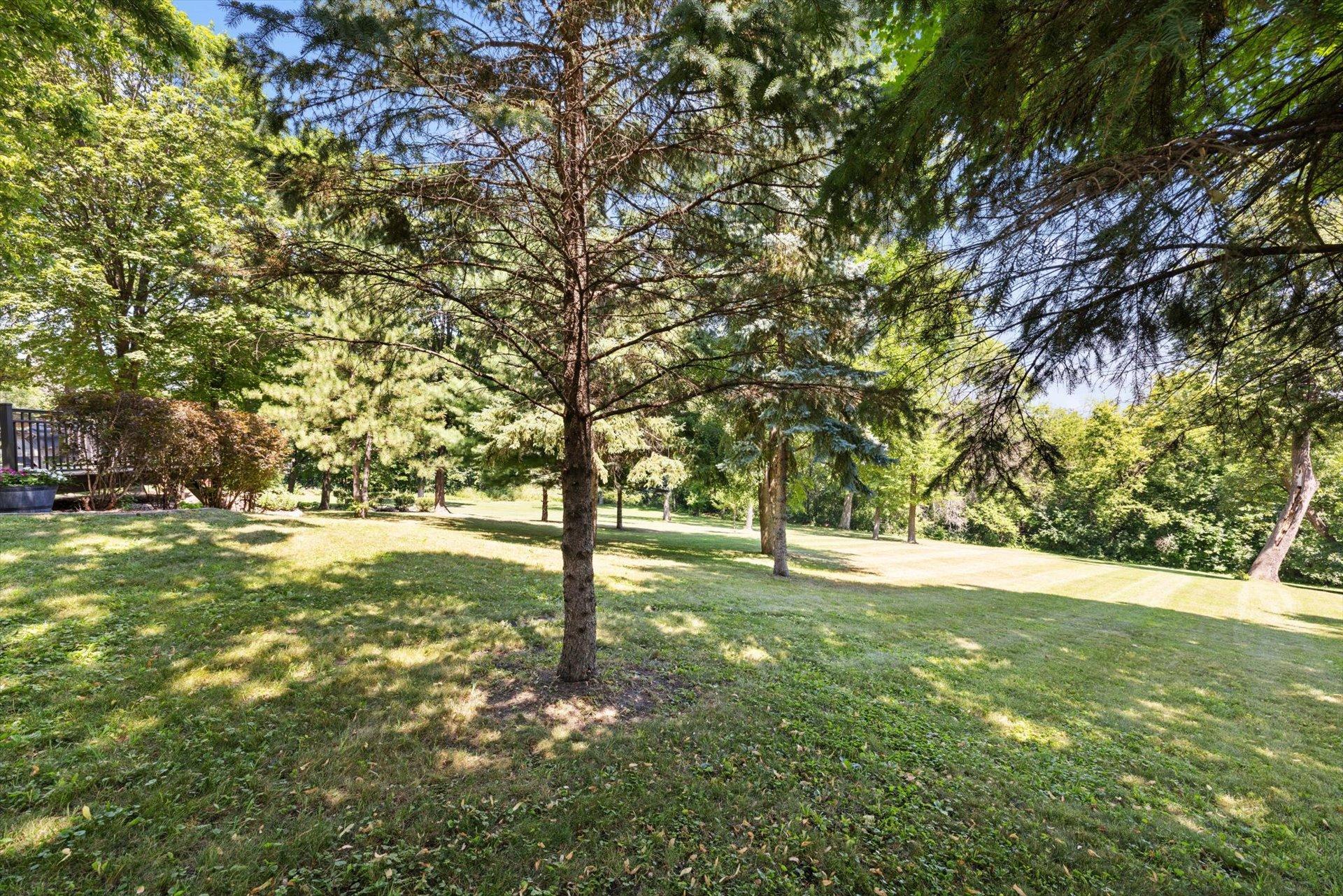 main property photo 66