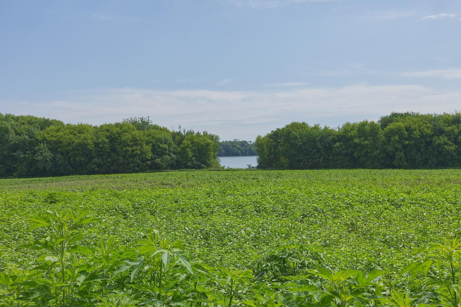main property photo 61