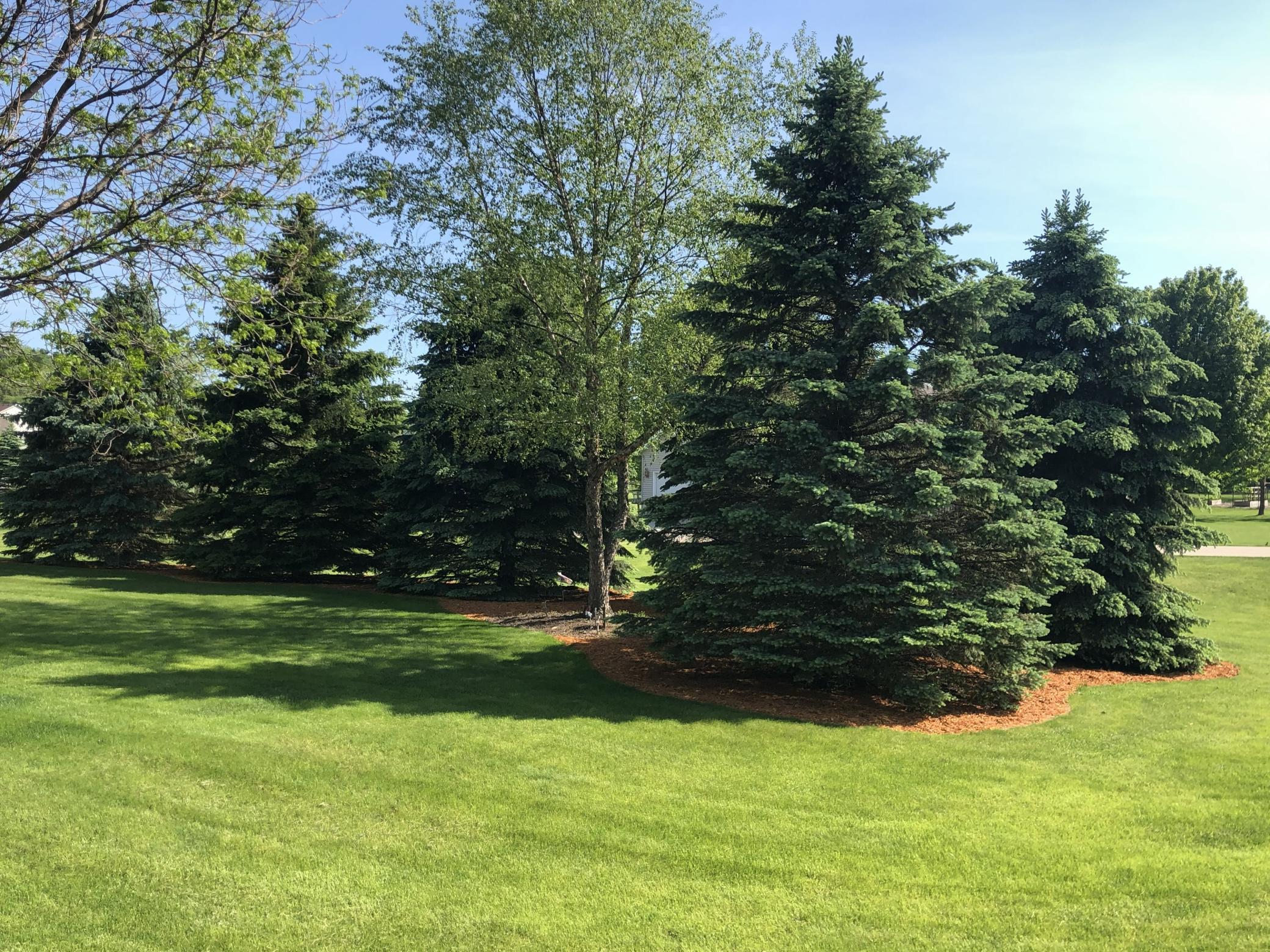 main property photo 50