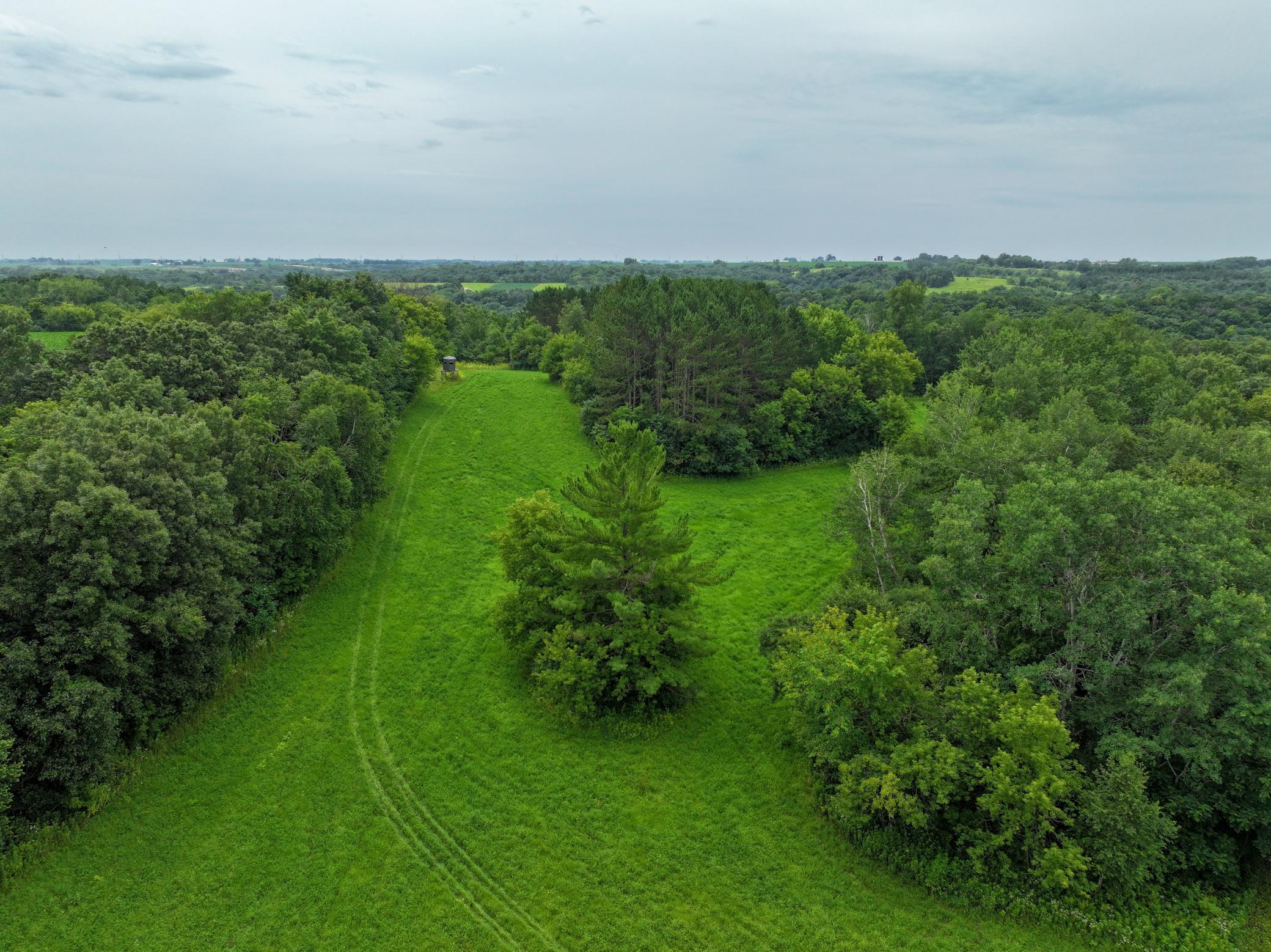 main property photo 25