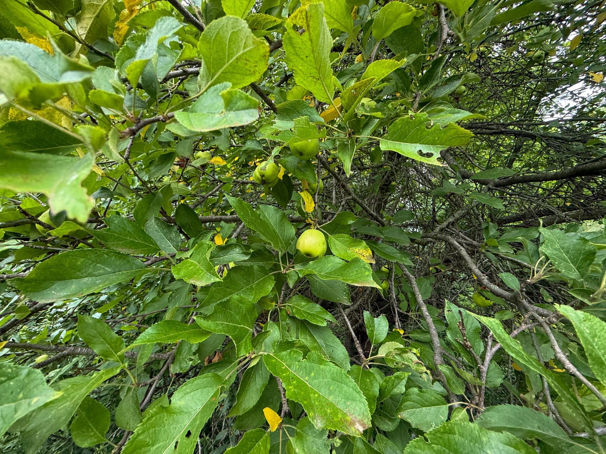 main property photo 42