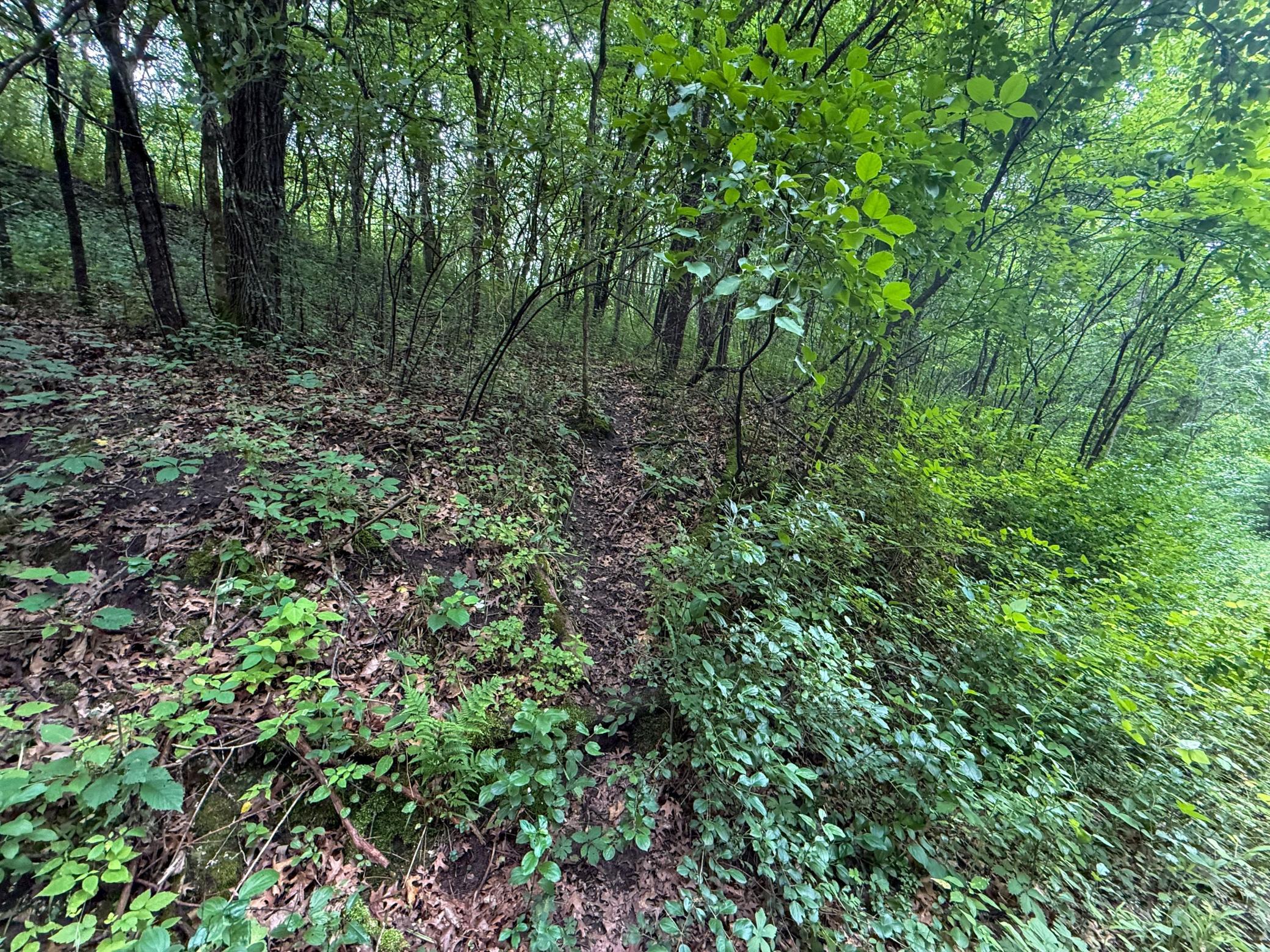 main property photo 45