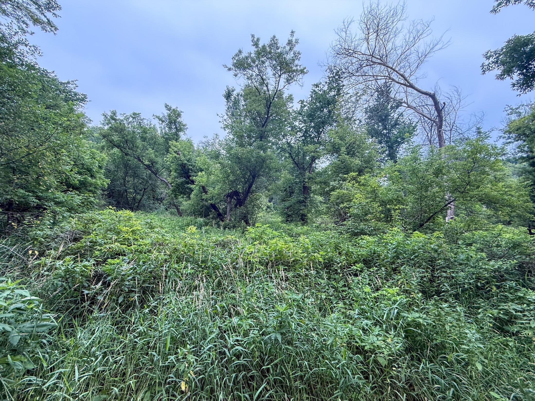 main property photo 47