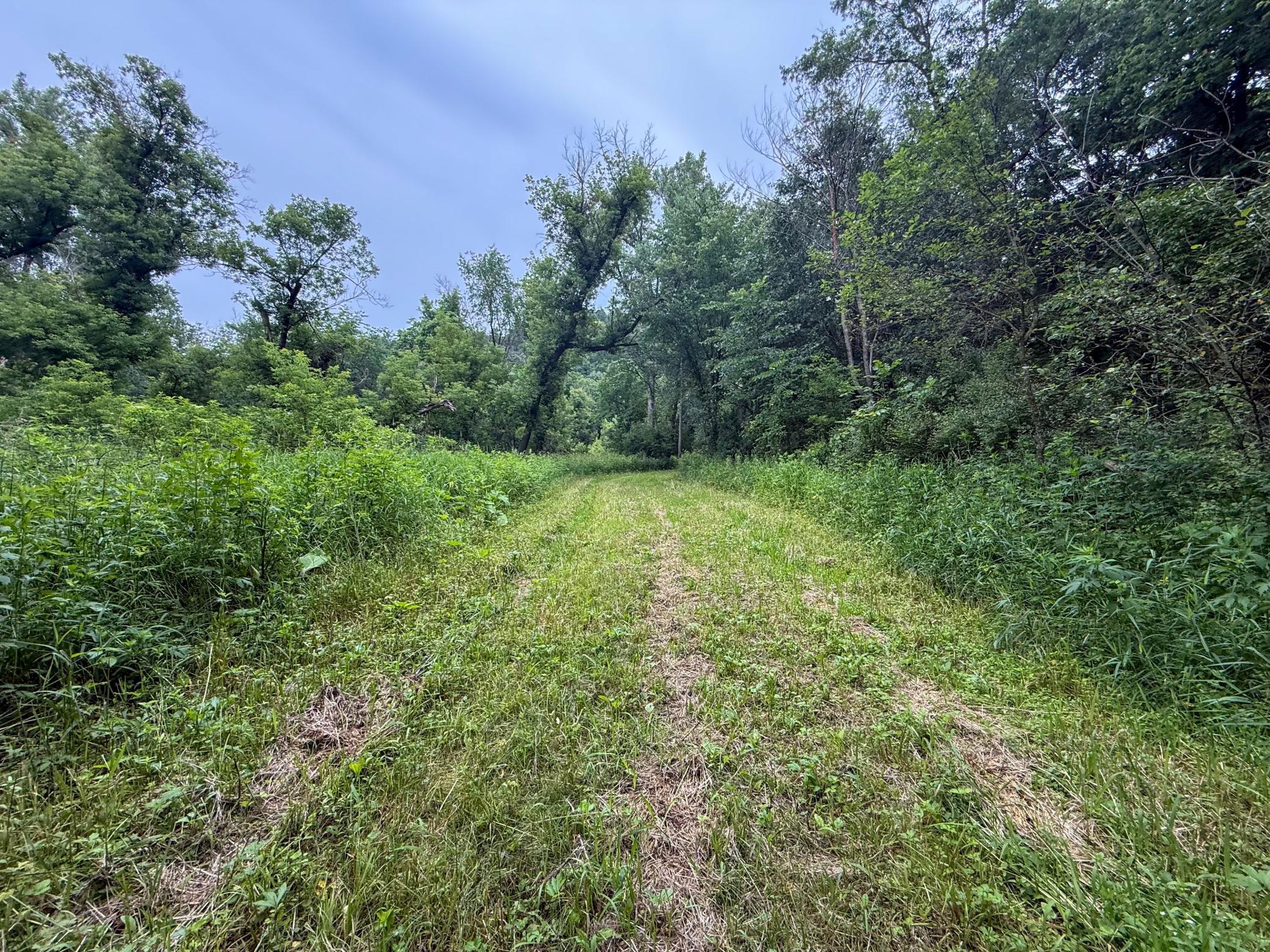 main property photo 49