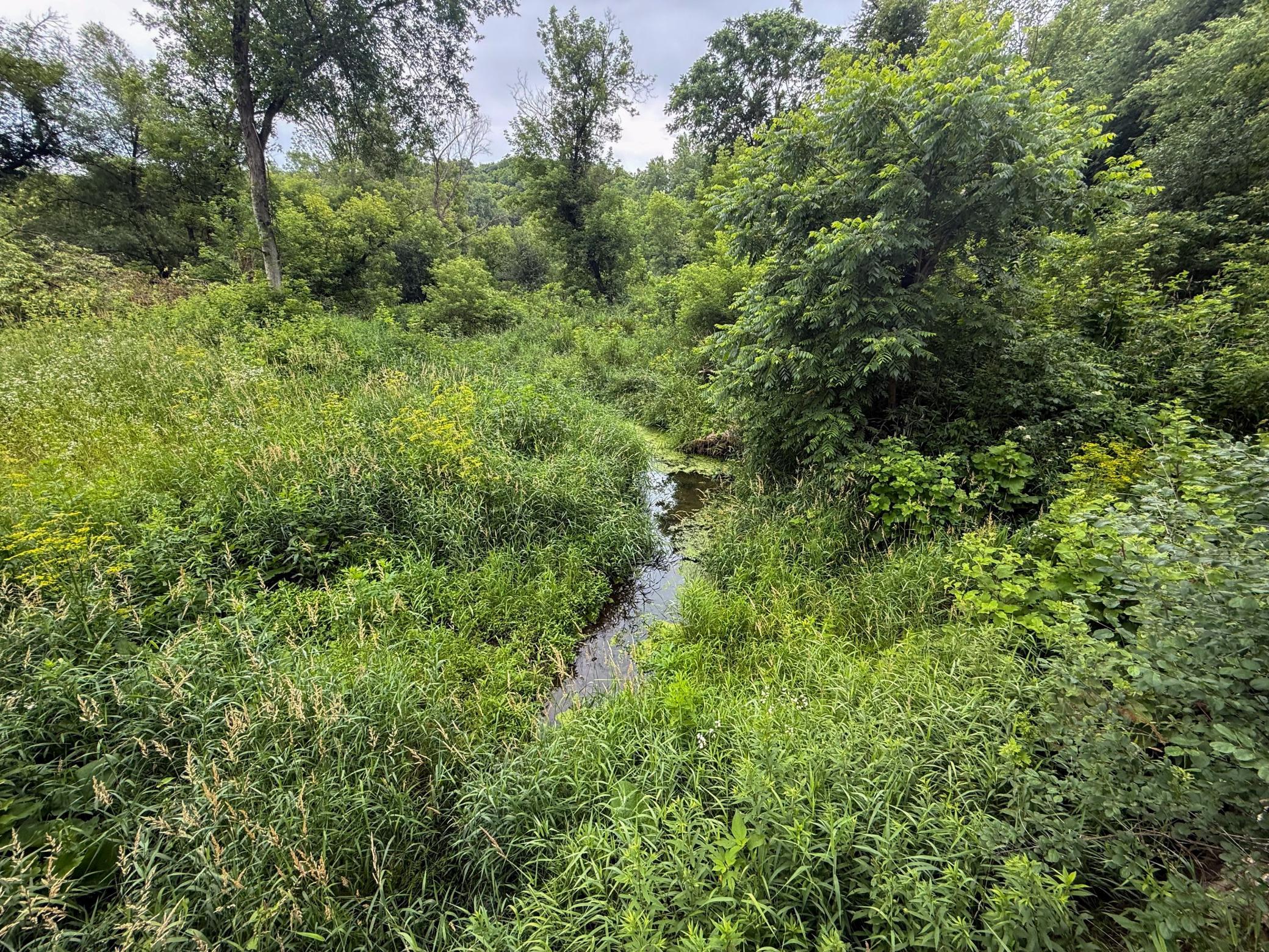 main property photo 53
