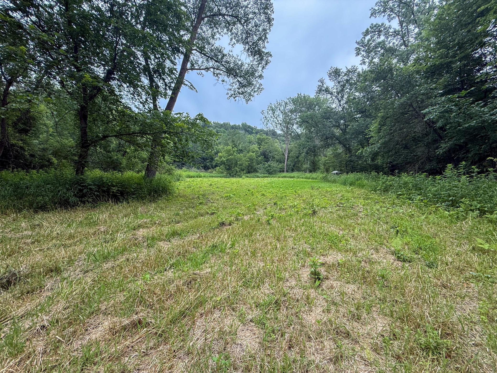 main property photo 54