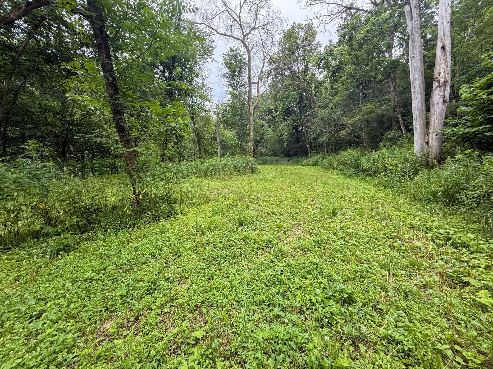 main property photo 58