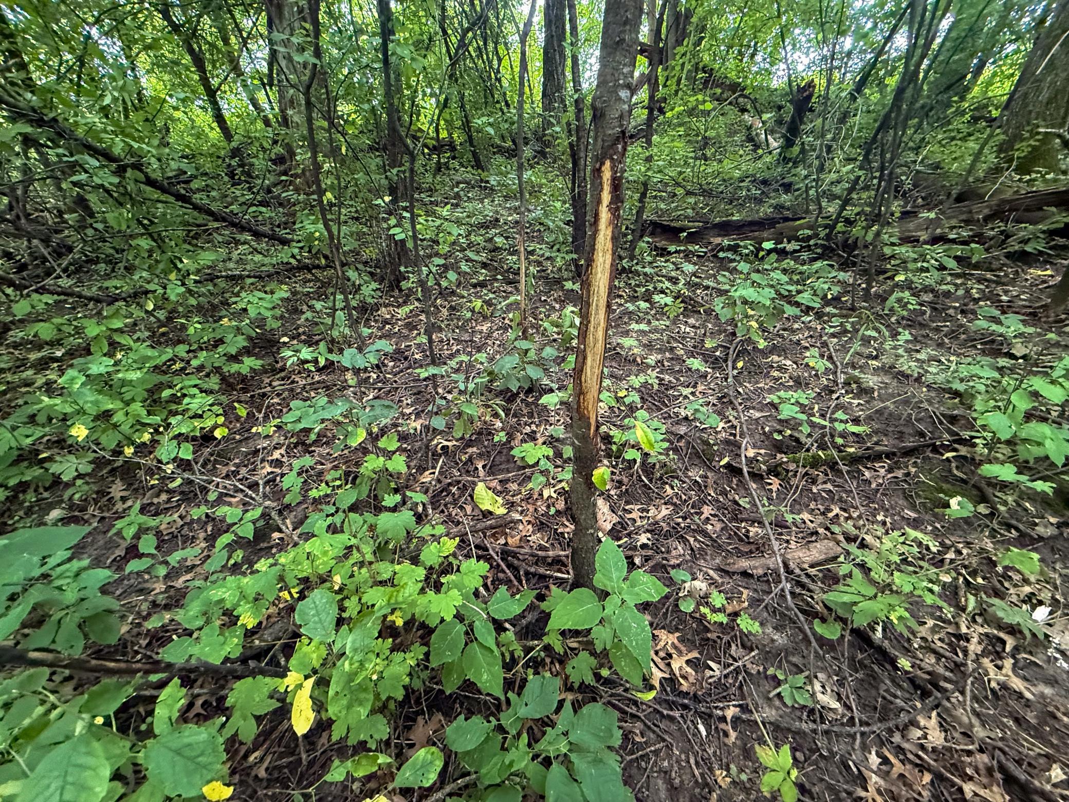 main property photo 59