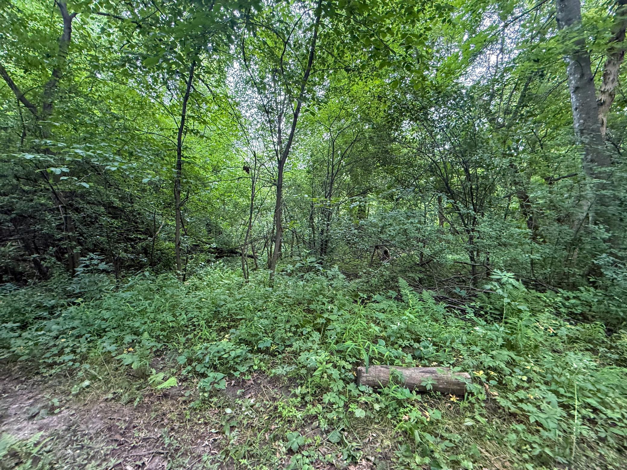 main property photo 61